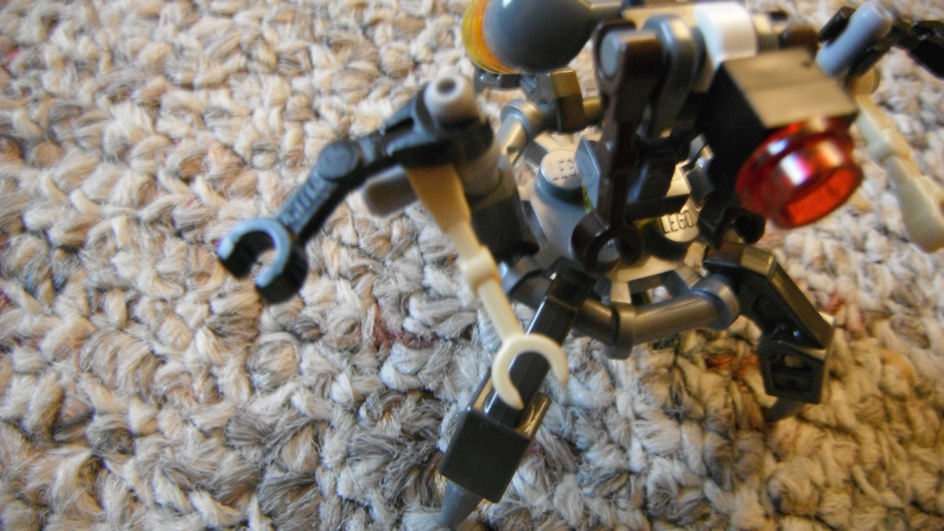 DSCF4559.JPG