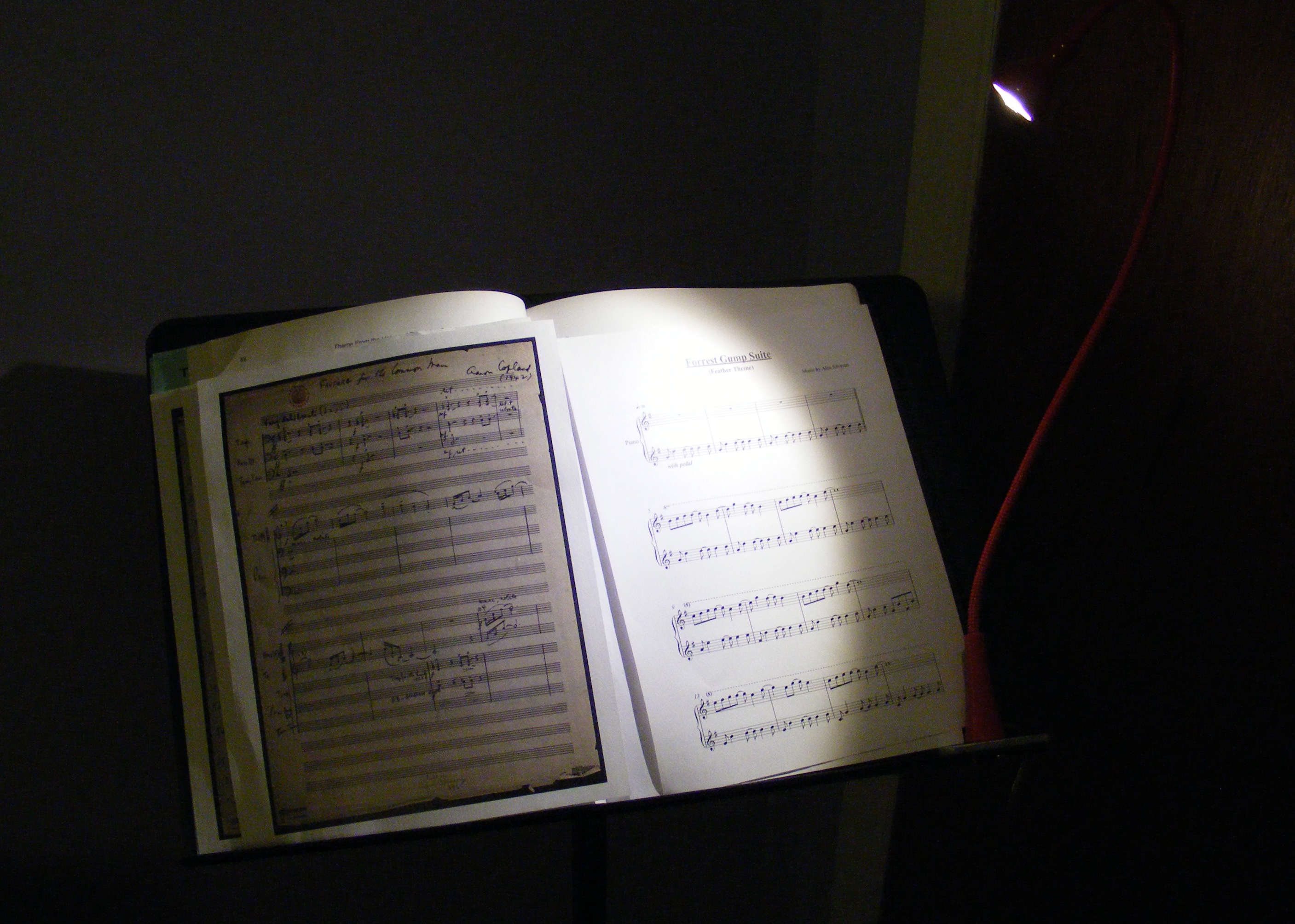 DSCF5188.JPG