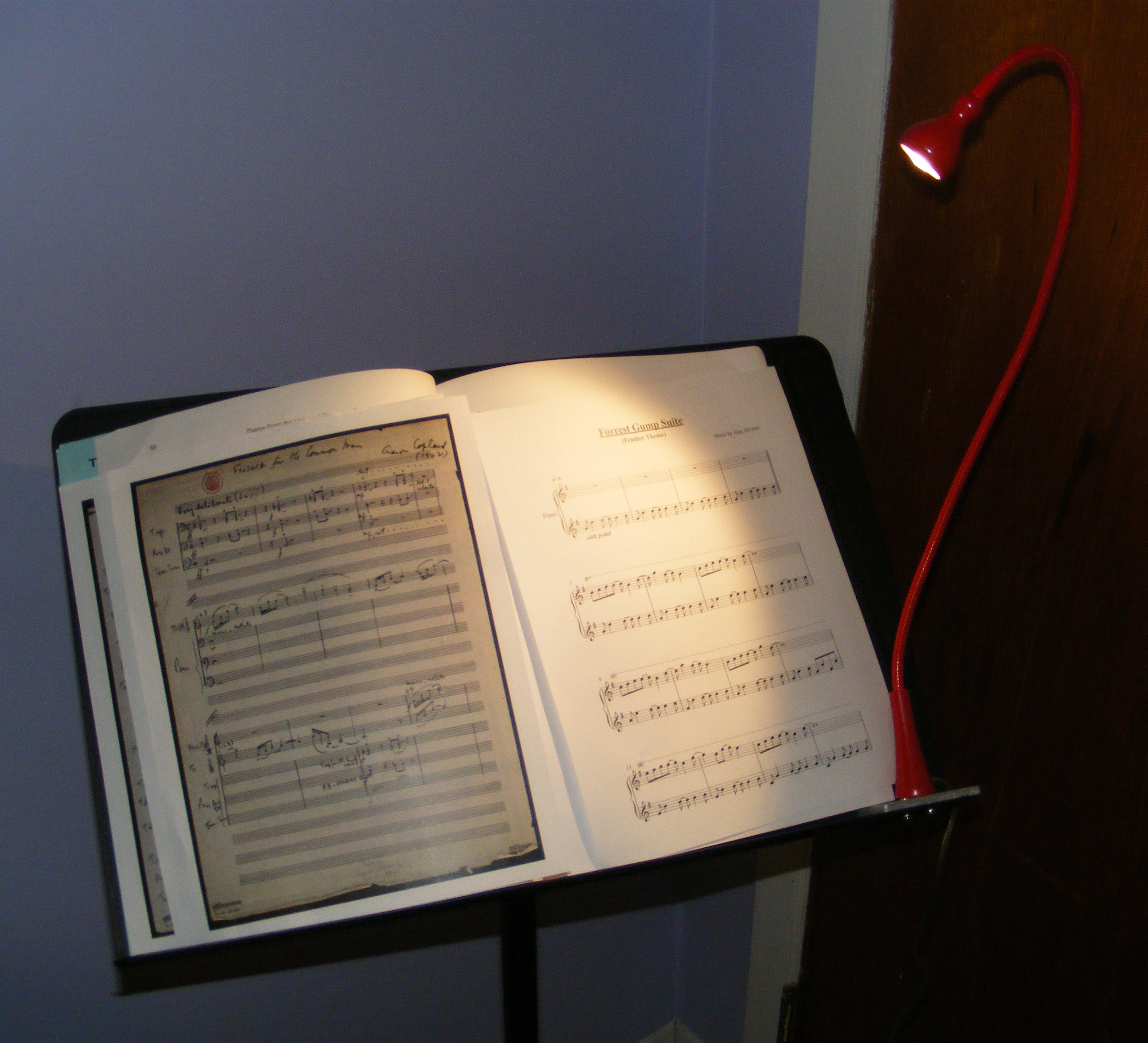 DSCF5190.JPG