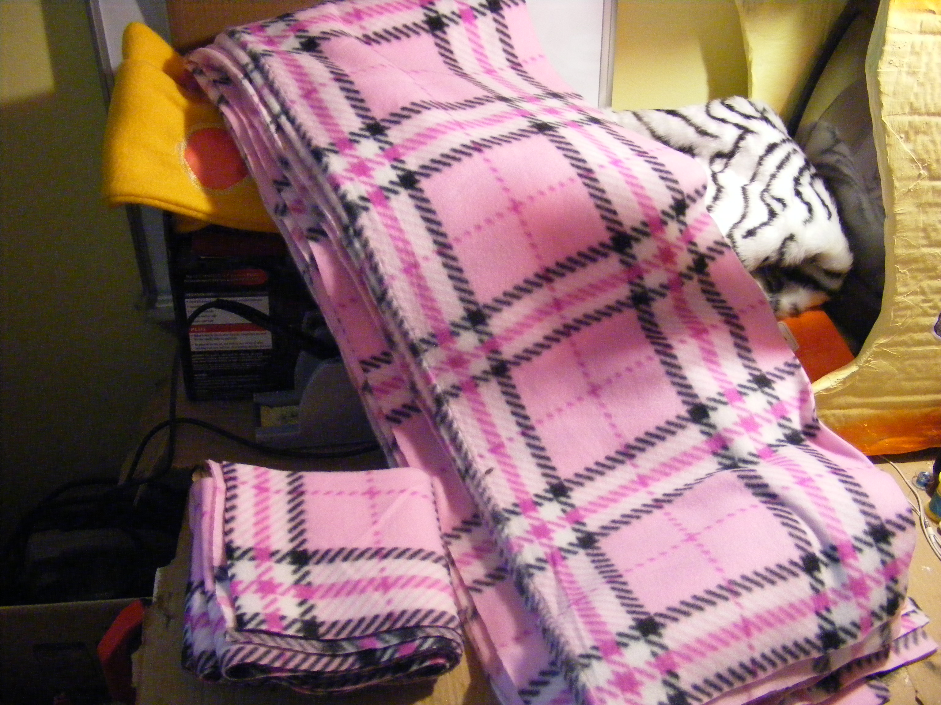 DSCF6274.JPG