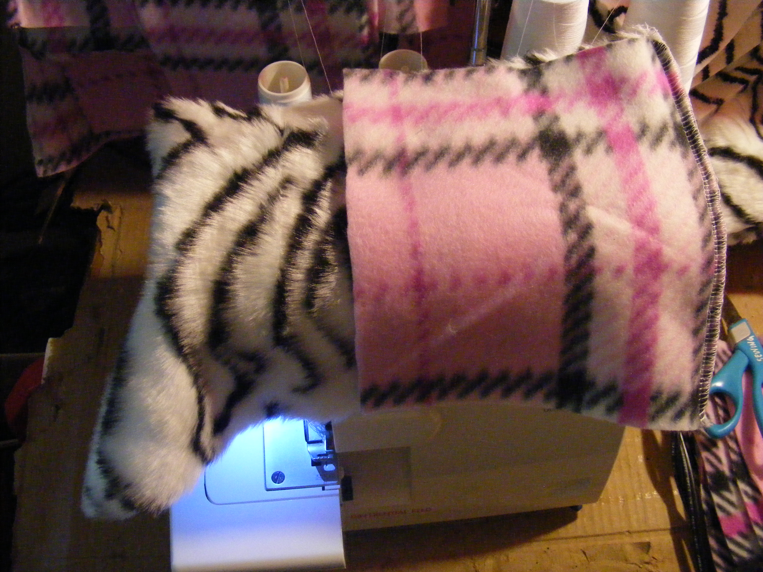 DSCF6290.JPG