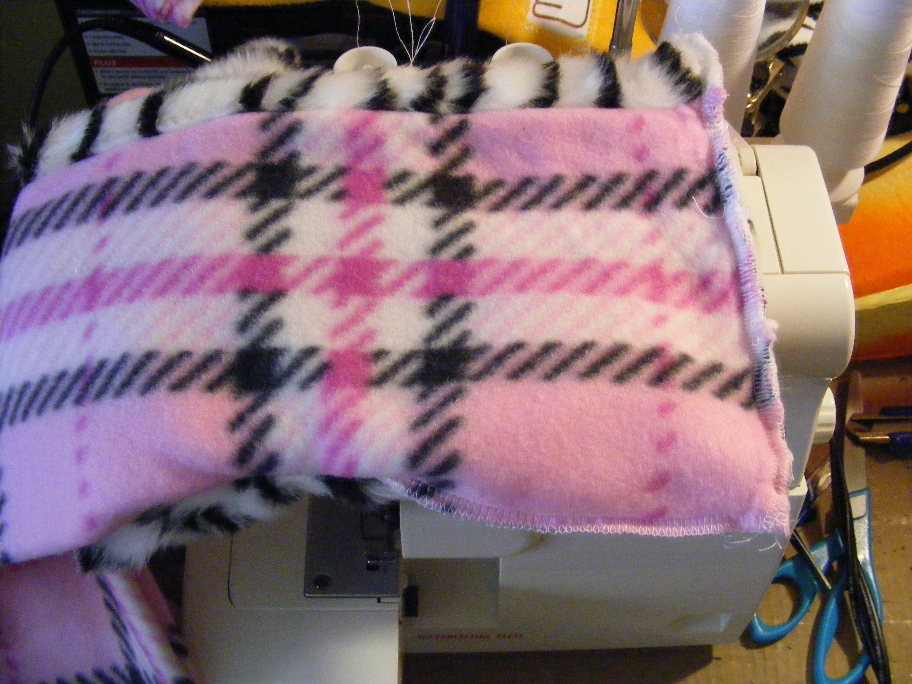 DSCF6339.JPG