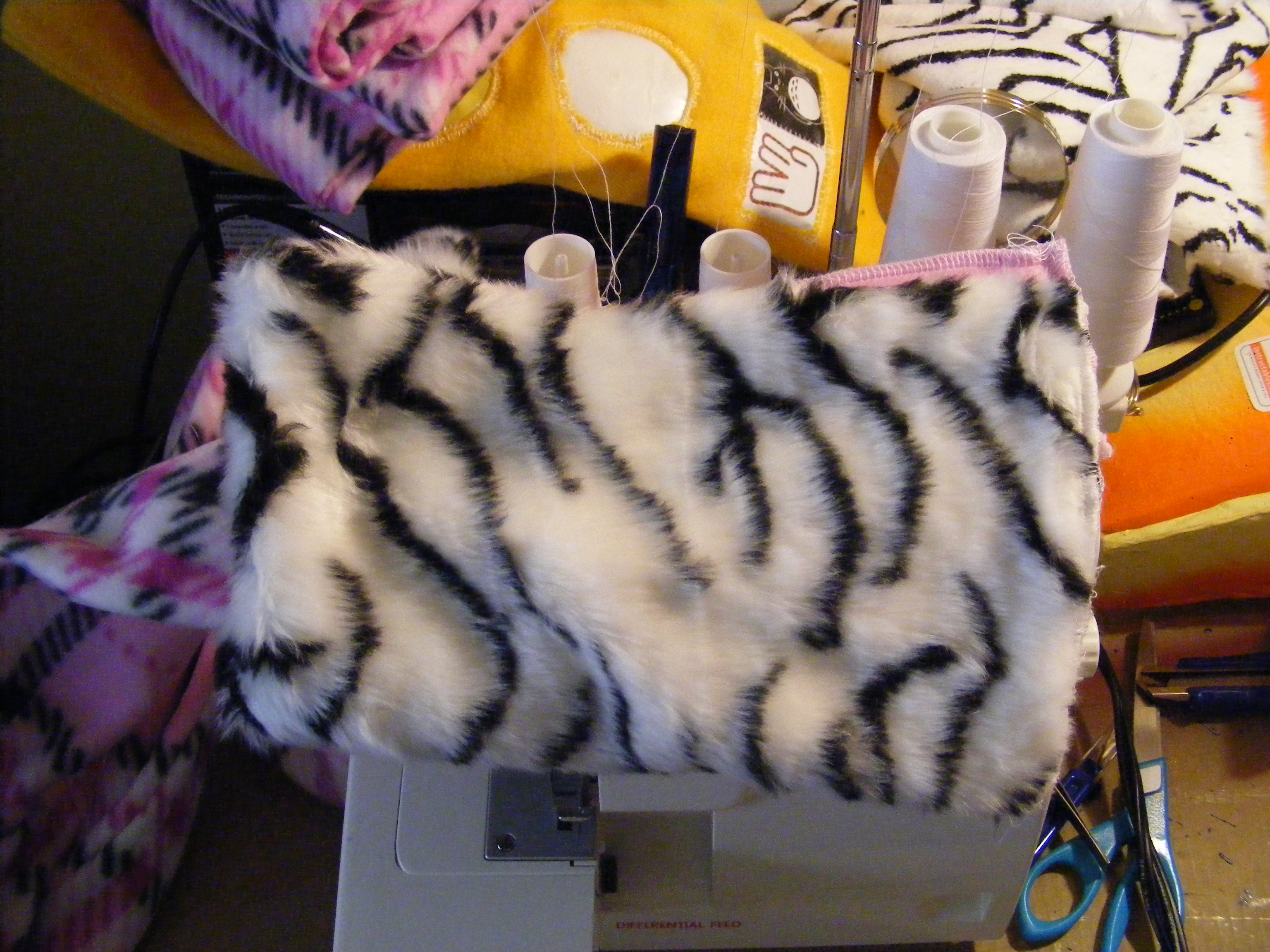 DSCF6342.JPG
