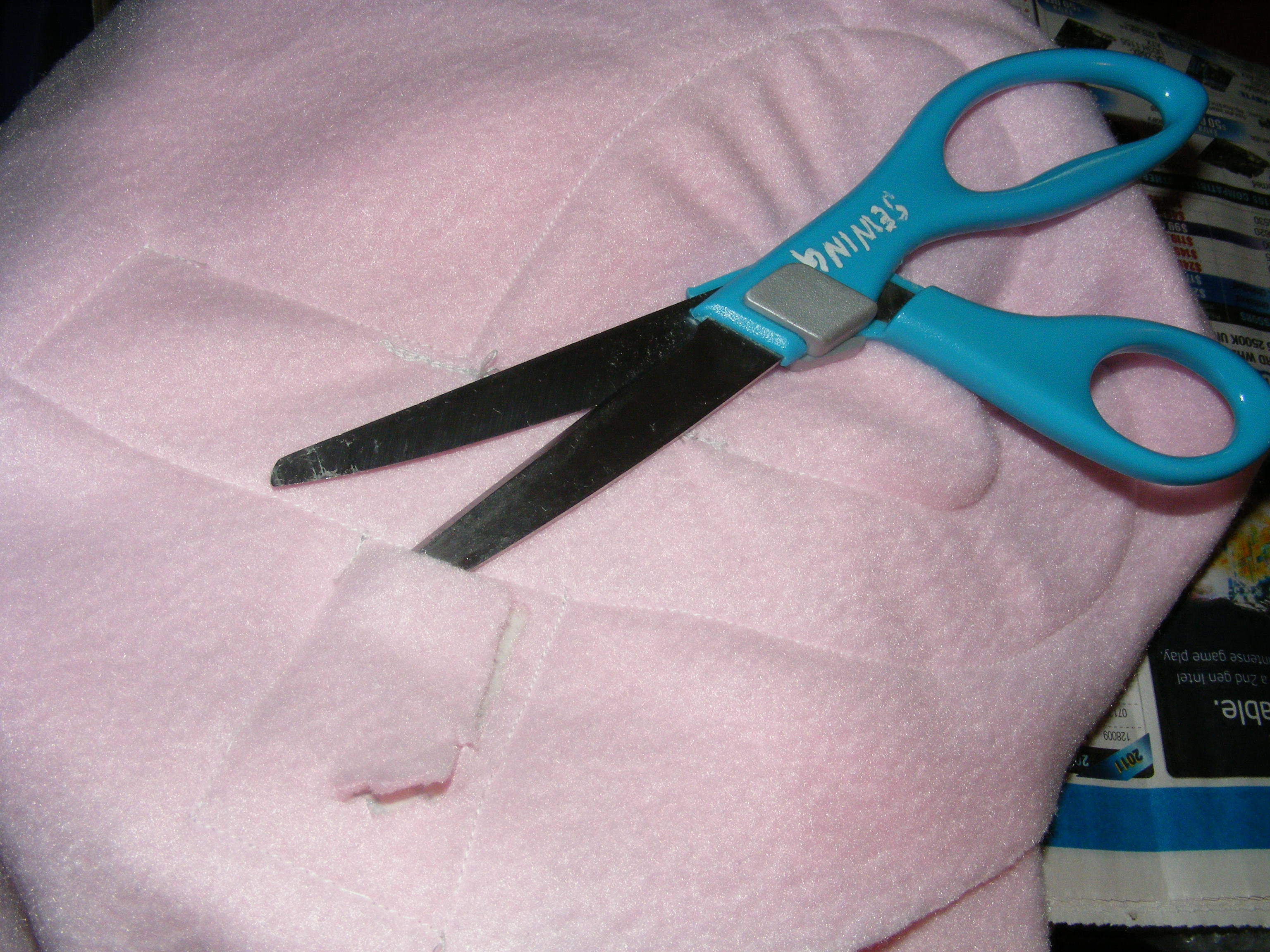 DSCF6579.JPG