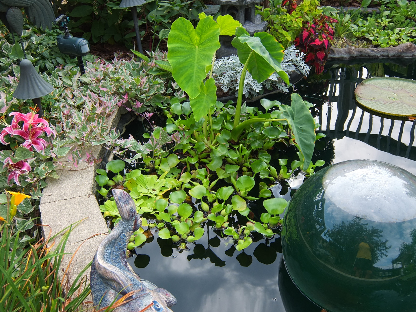 DSCF7348.JPG