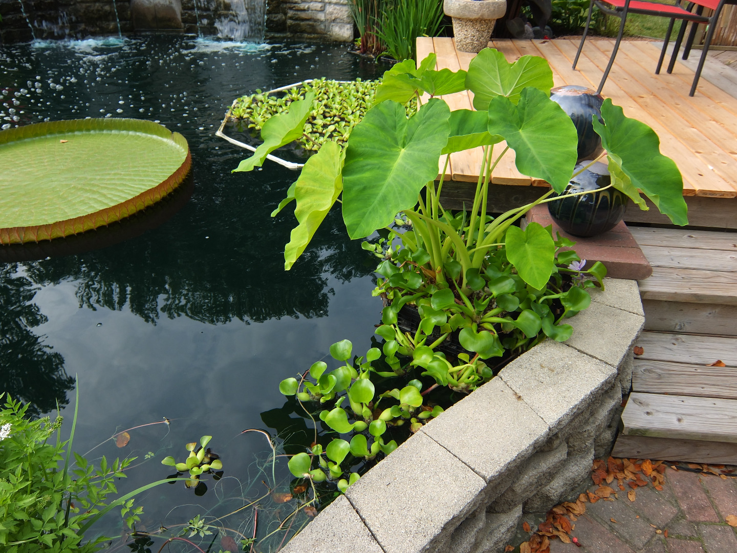 DSCF7350.JPG