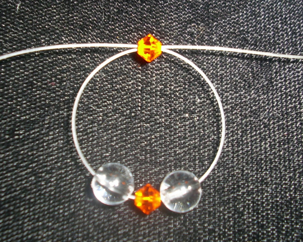 DSCI0071.JPG