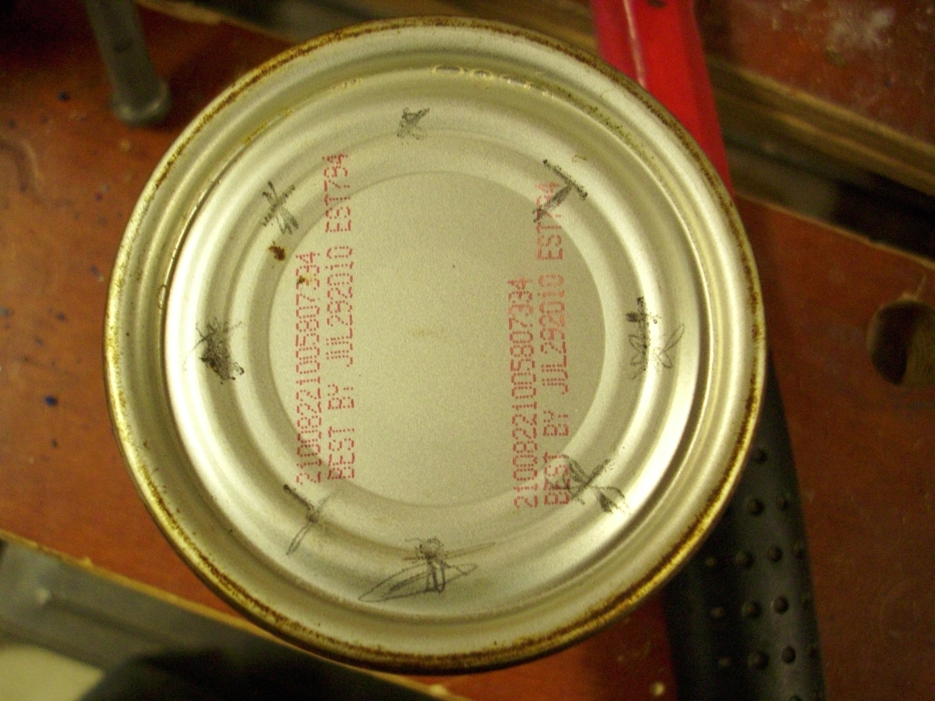 DSCI0296.JPG