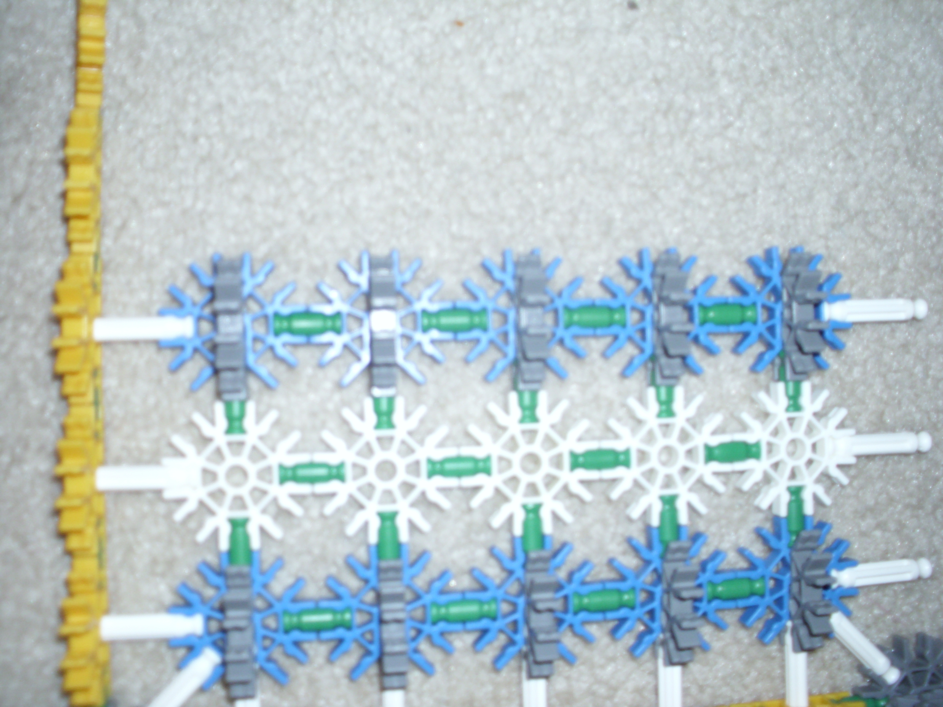 DSCI1245.JPG