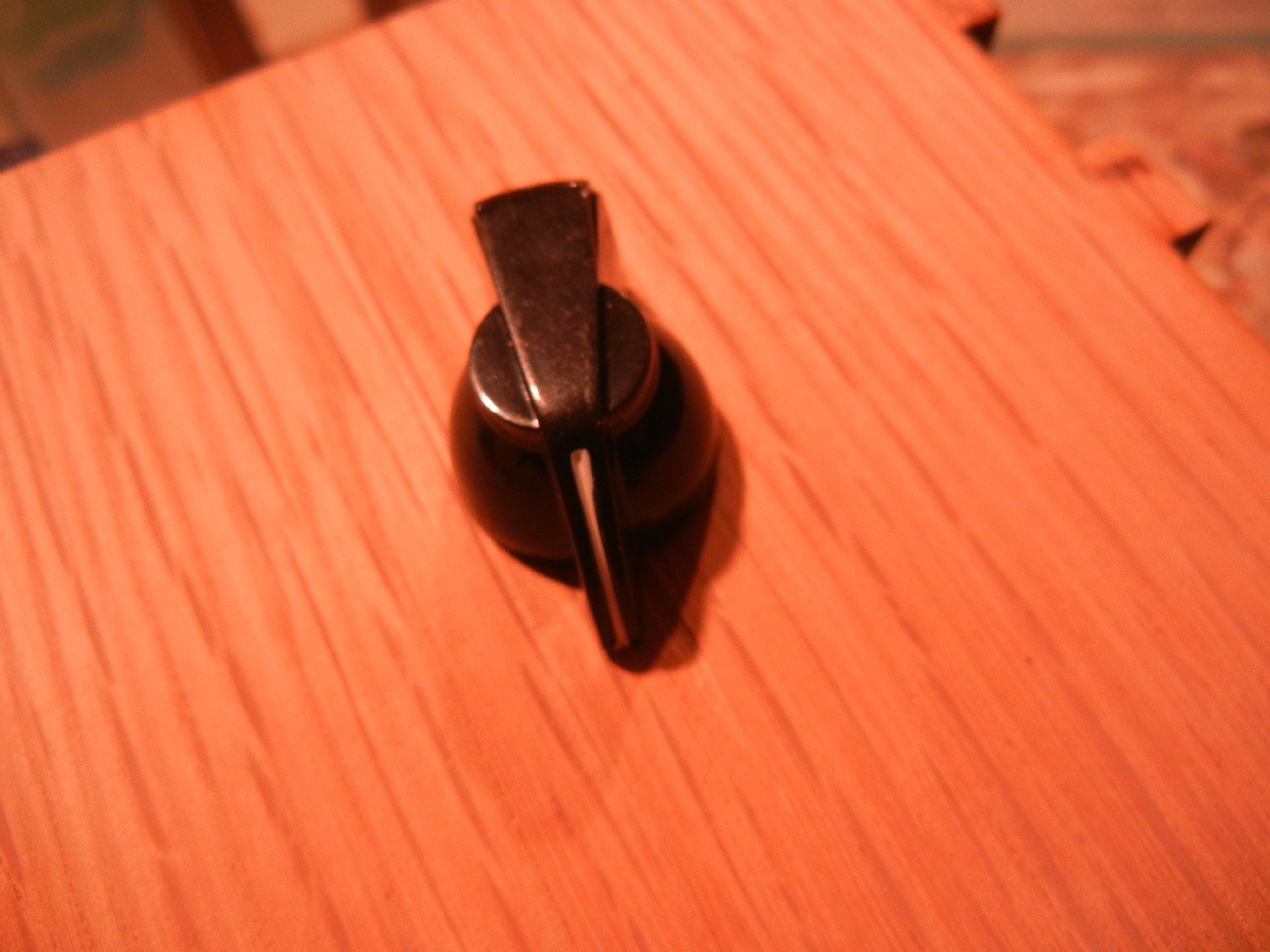 DSCN0009.JPG