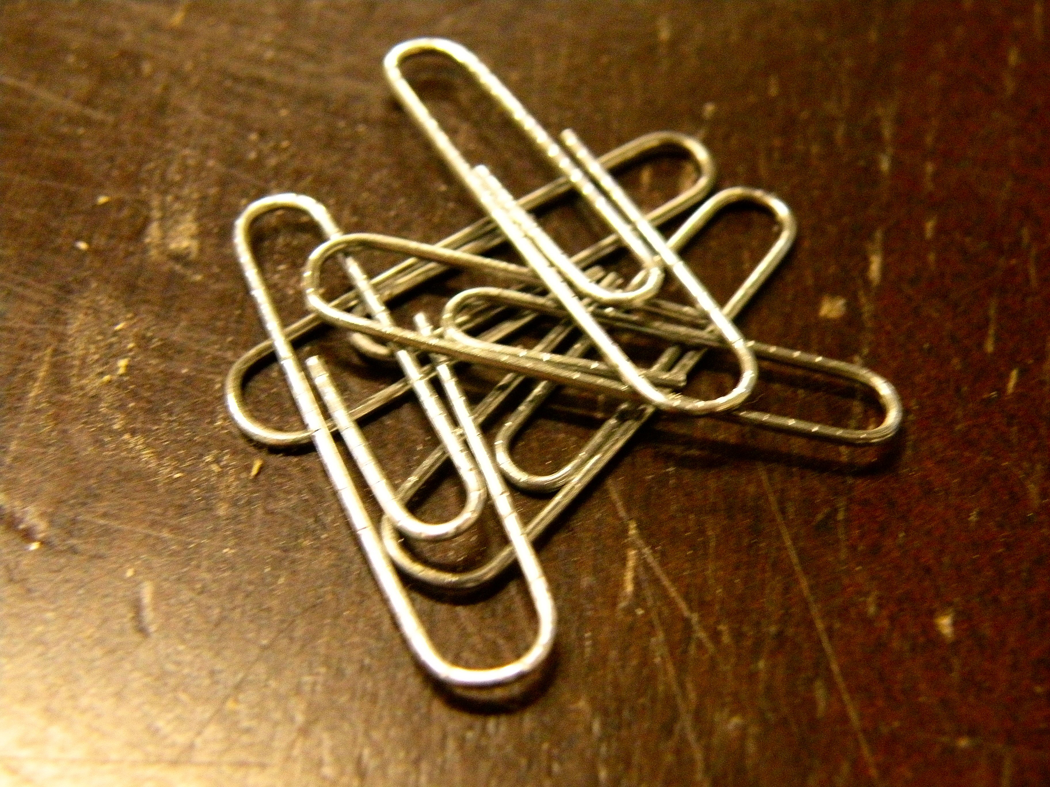 DSCN0013.jpg