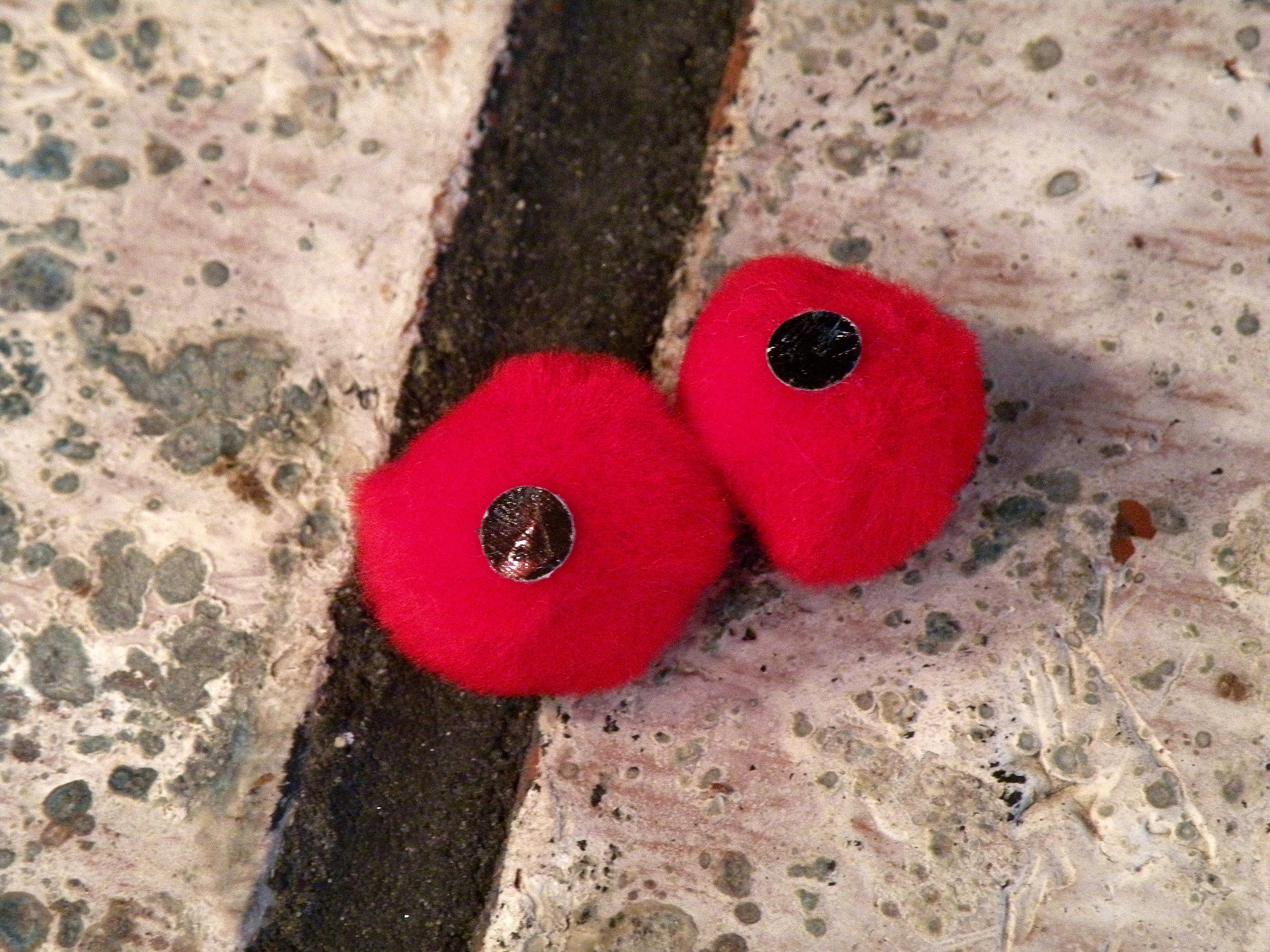 DSCN0031.jpg