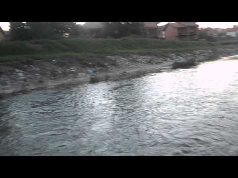 DSCN0147