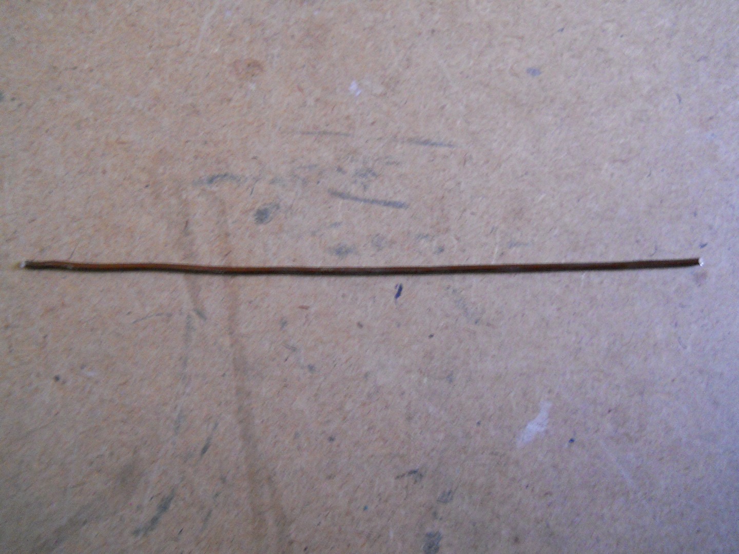 DSCN0237.JPG