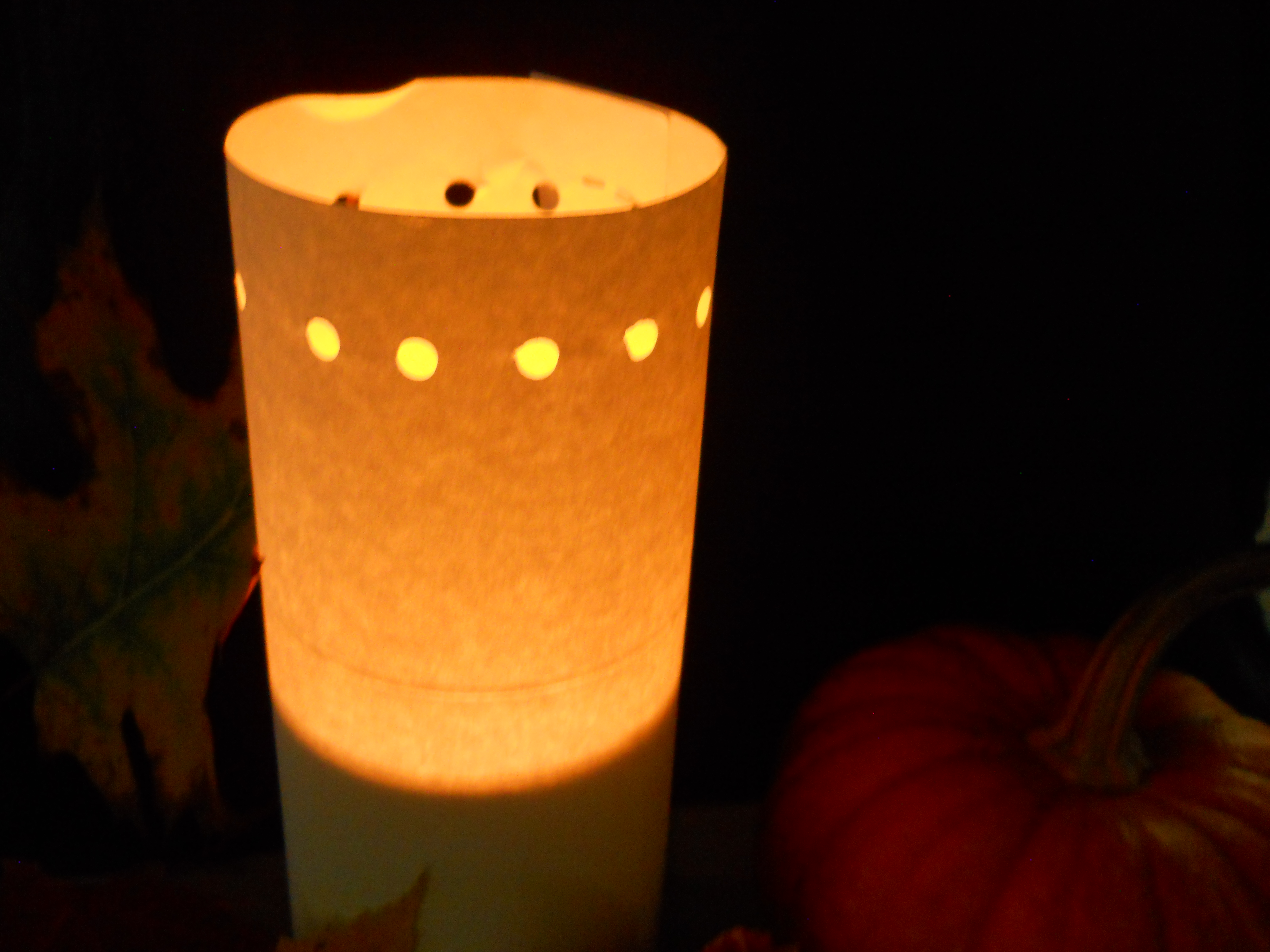 DSCN0302.JPG