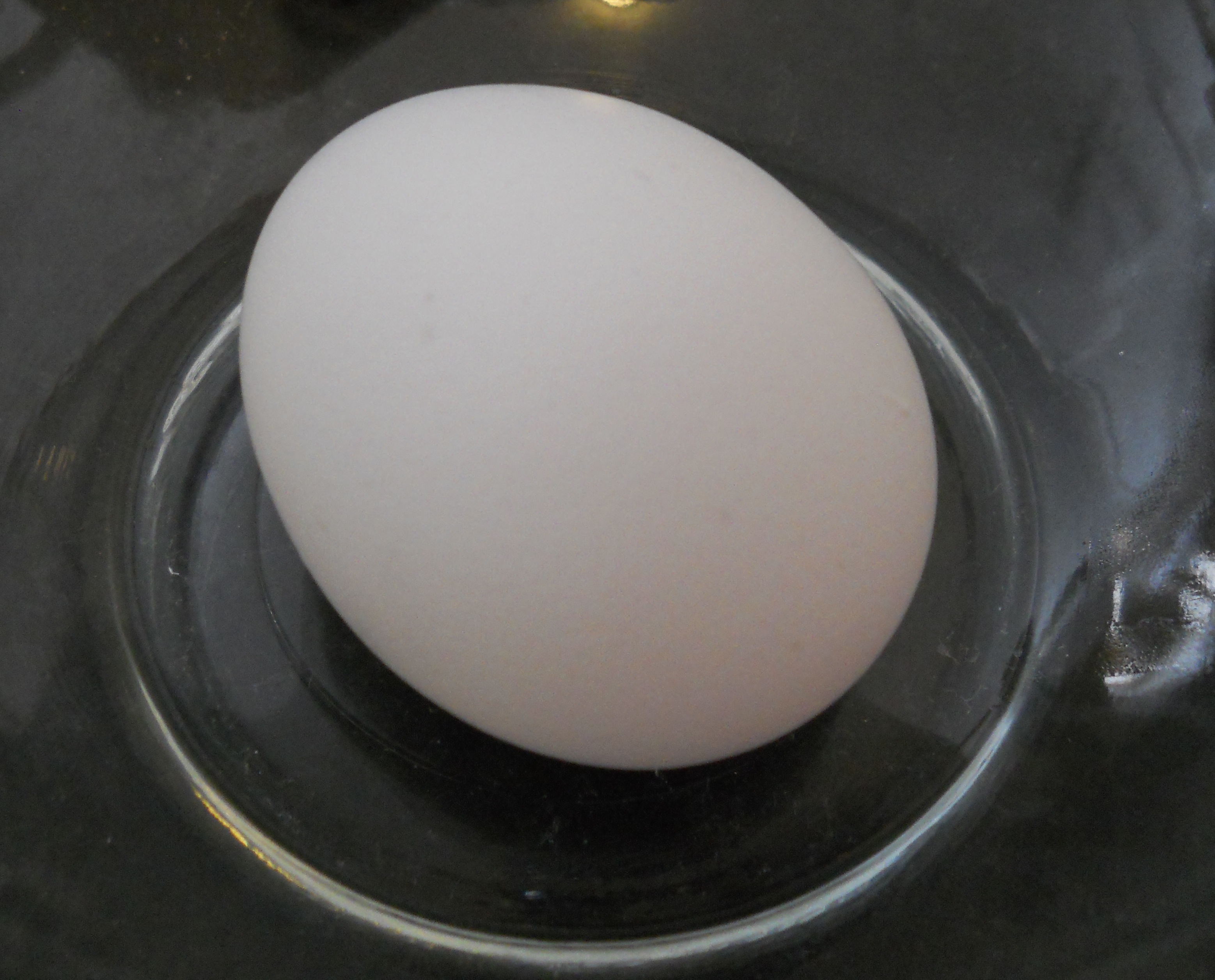 DSCN0360.JPG