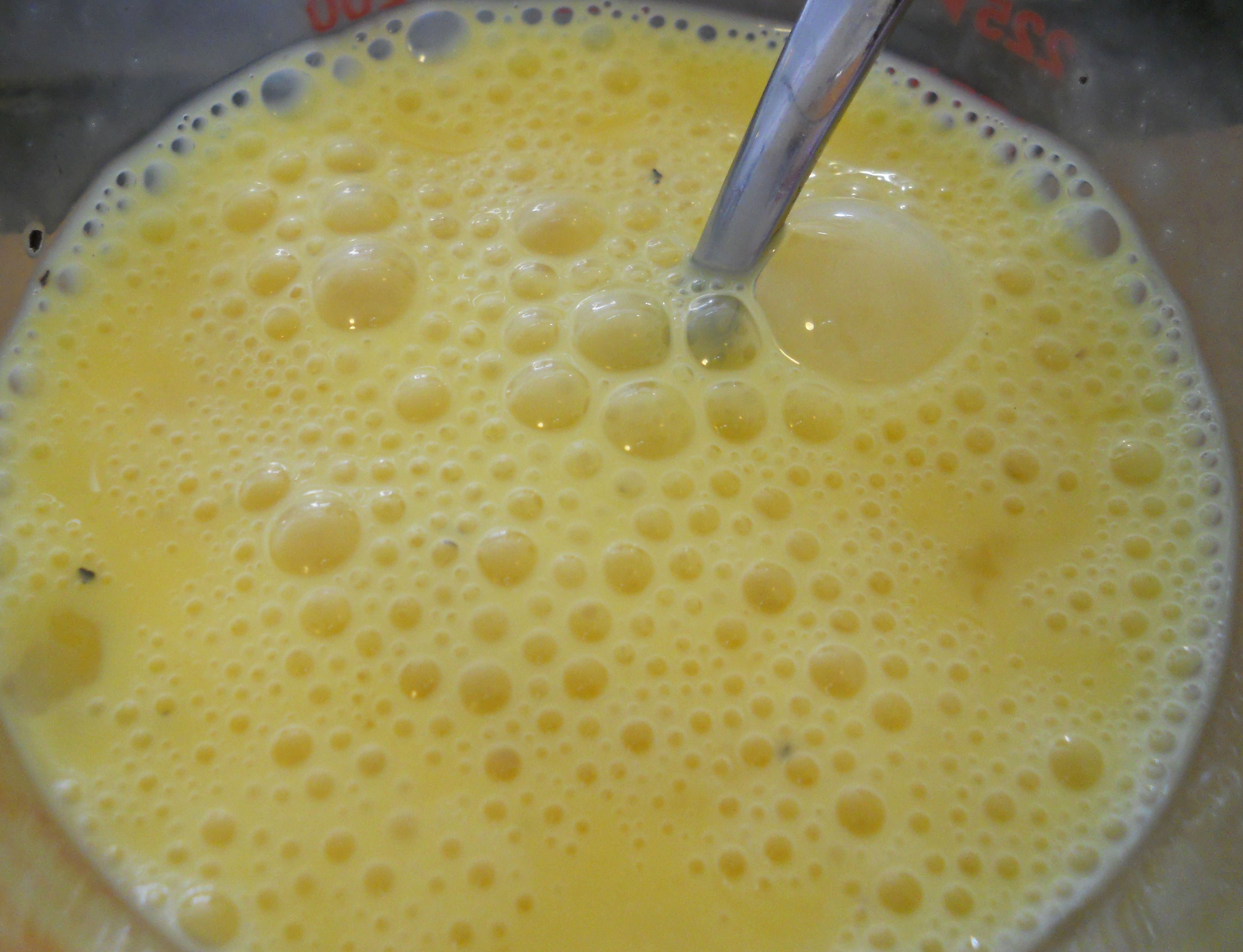 DSCN0445.JPG