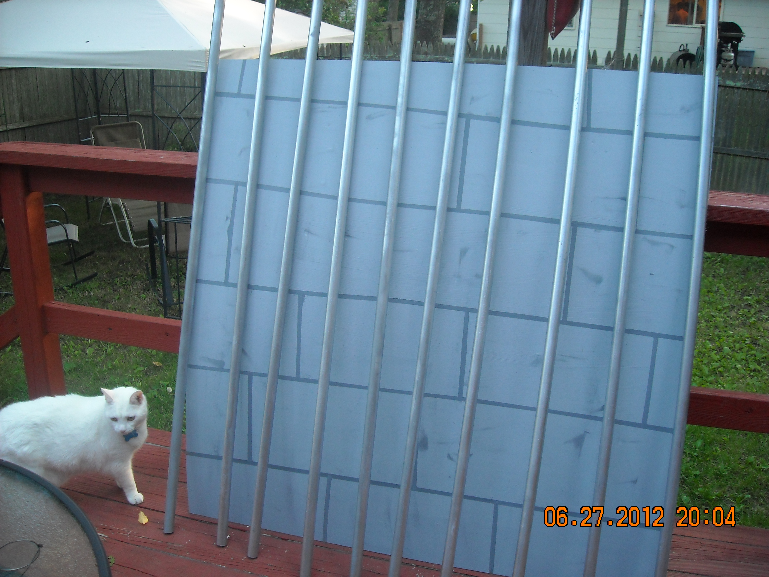 DSCN0565.JPG
