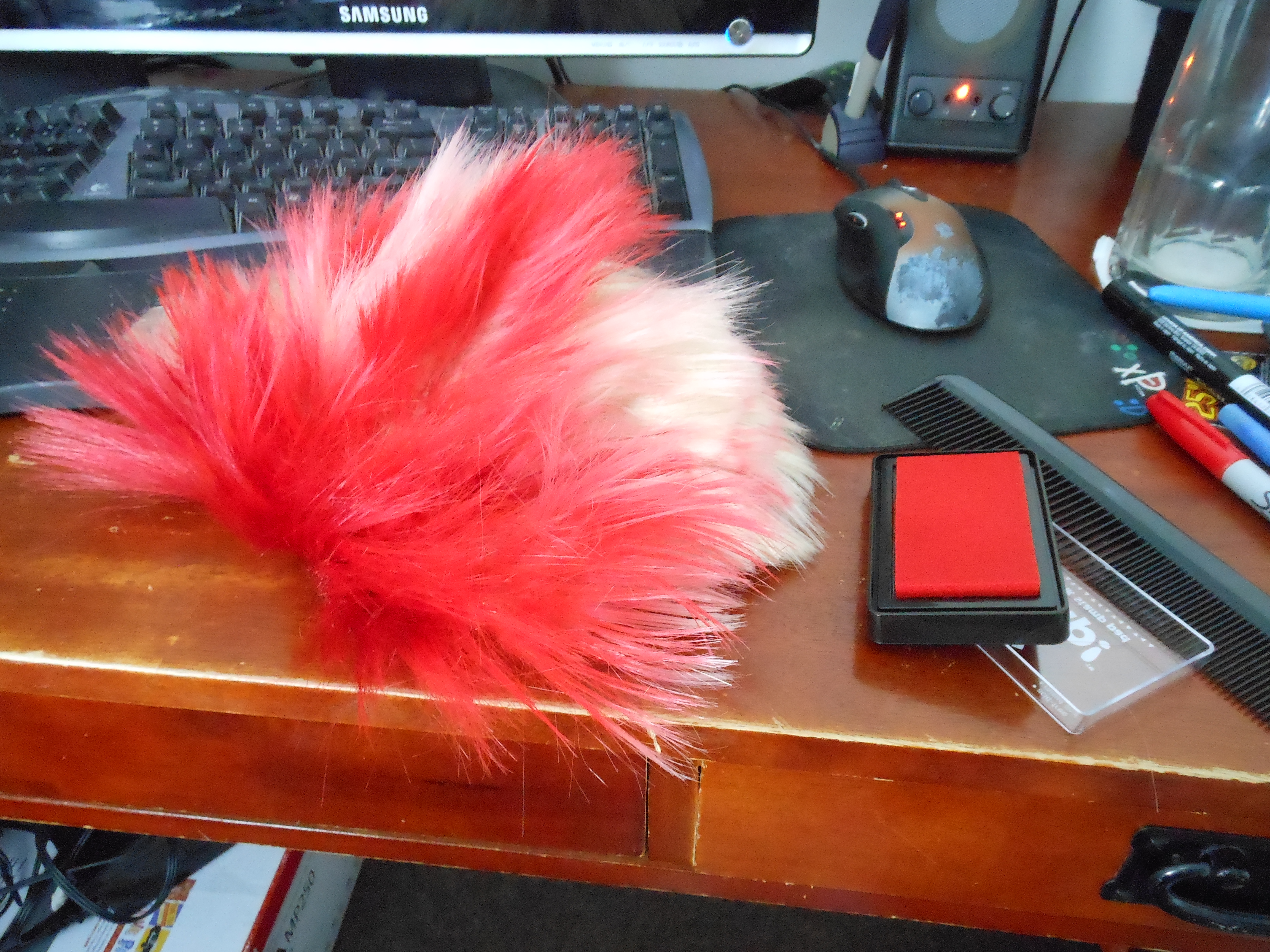 DSCN0570.JPG