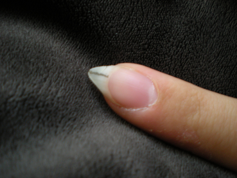 DSCN0679.jpg