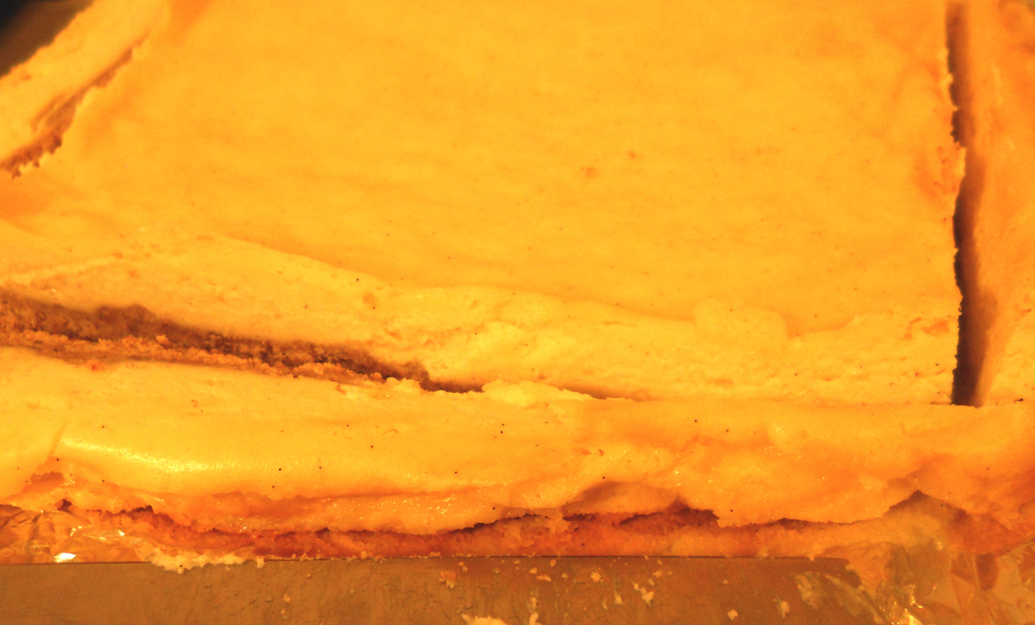 DSCN0842.JPG