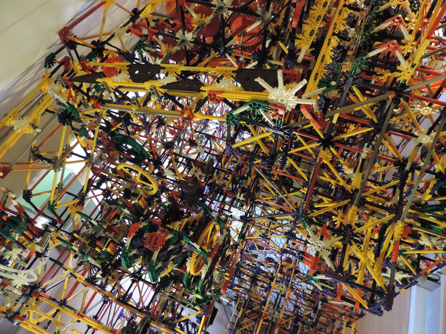 DSCN2013.JPG