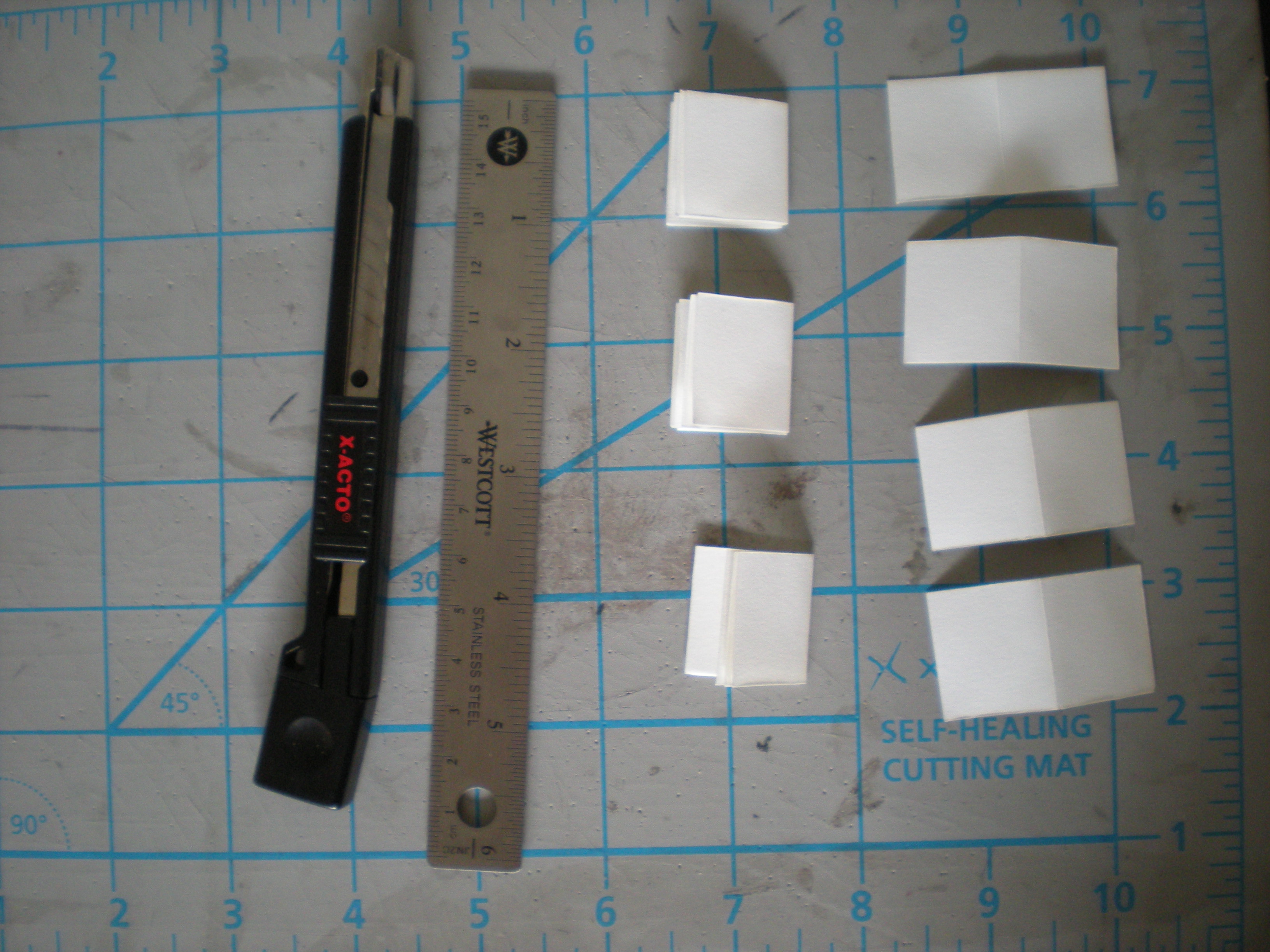DSCN2098.JPG