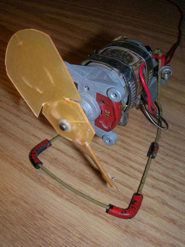 DSCN2559.JPG