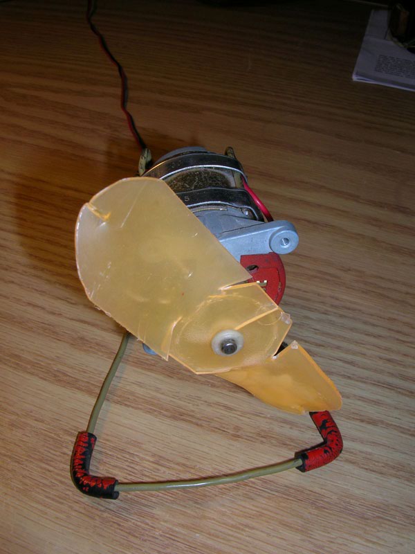 DSCN2562.JPG