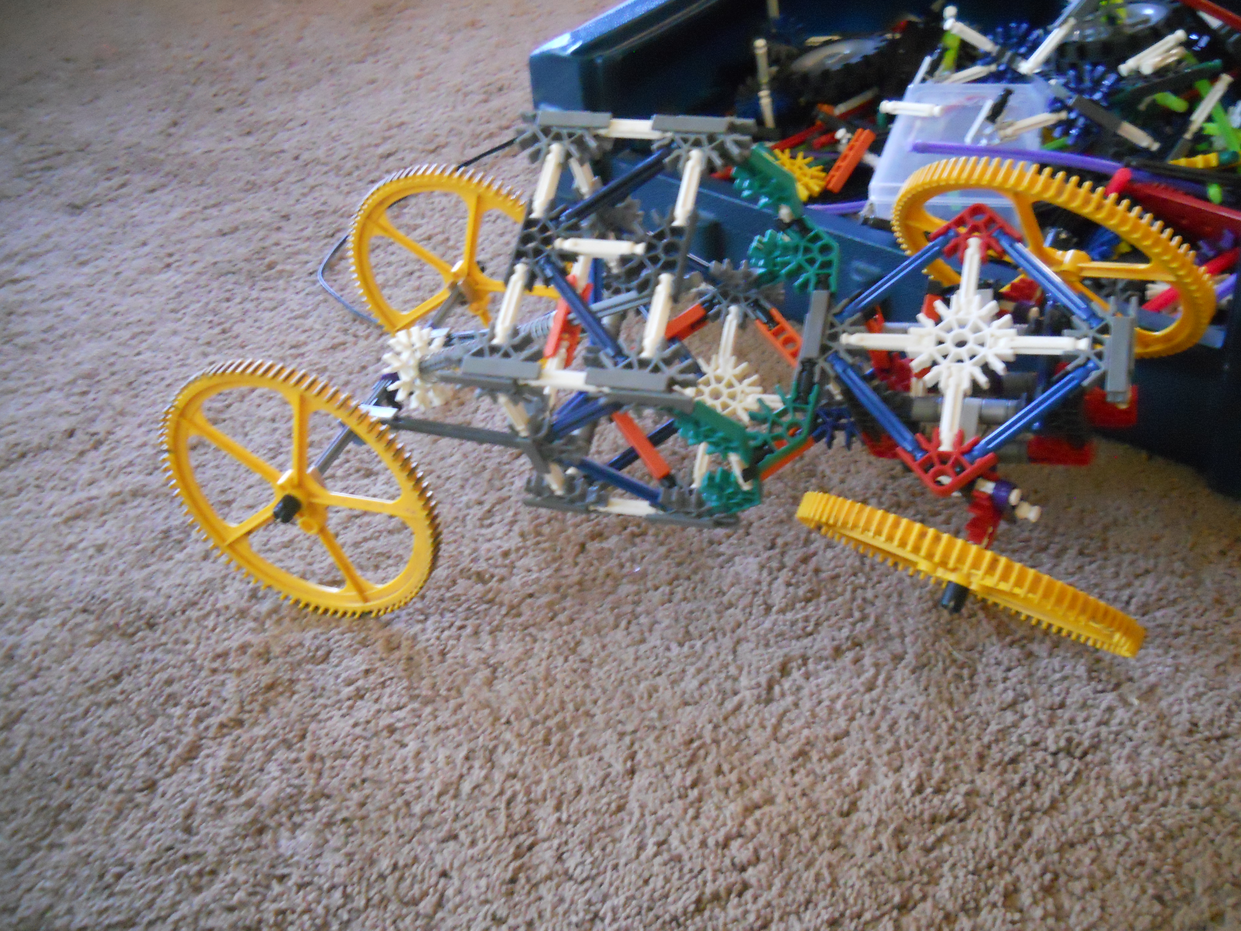 DSCN2670.JPG