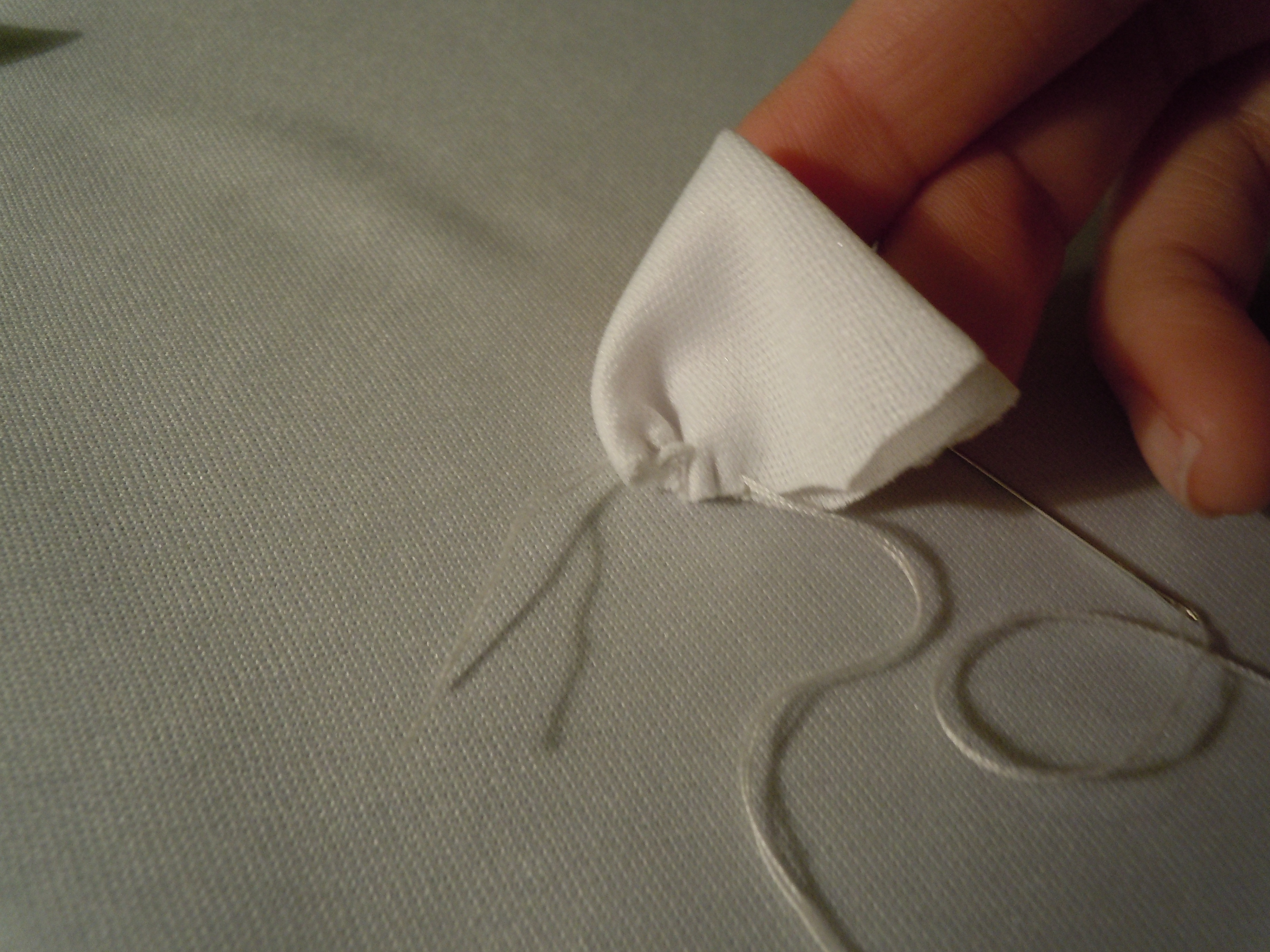 DSCN2830.JPG
