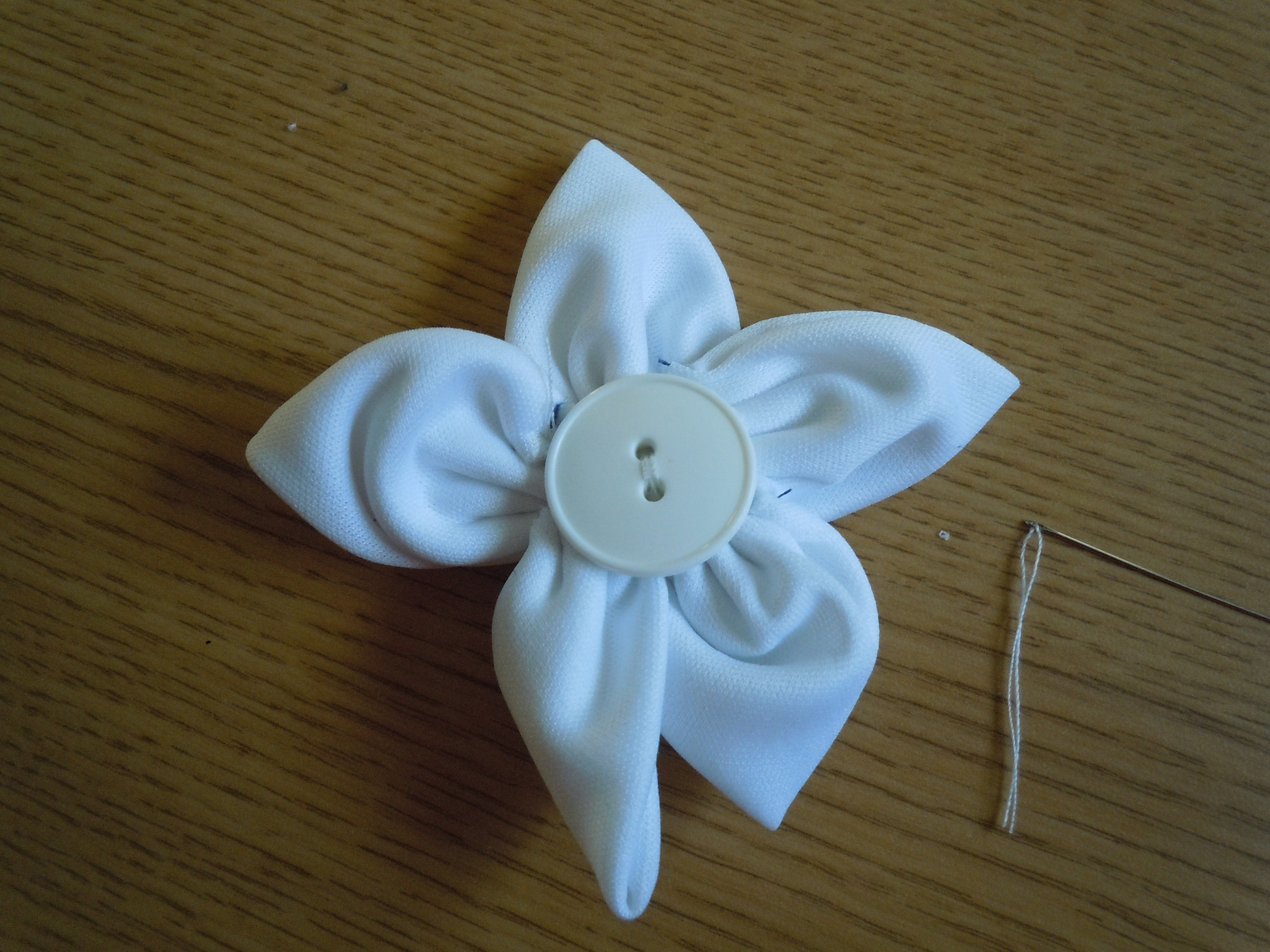DSCN2851.JPG