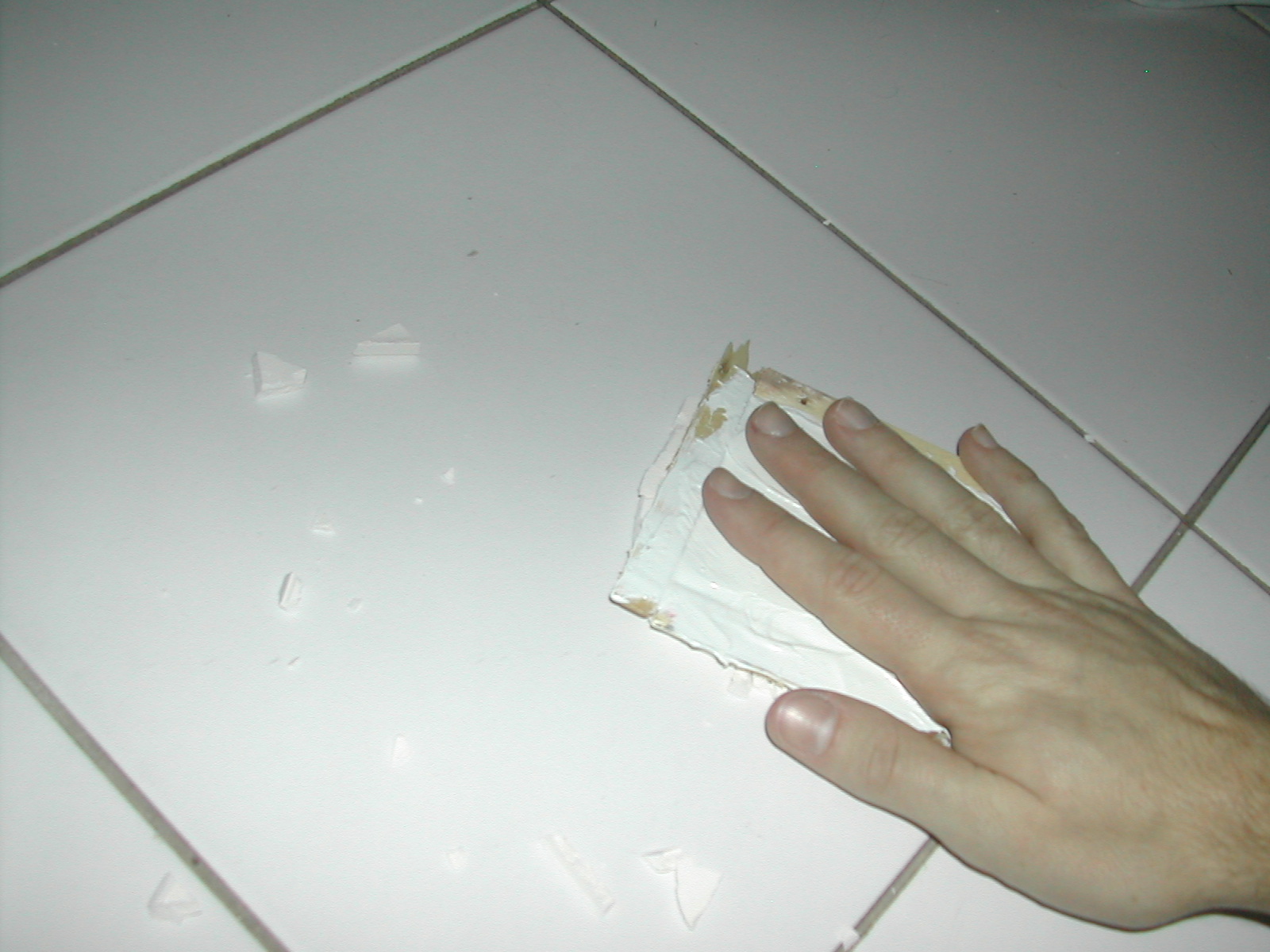 DSCN3153.JPG