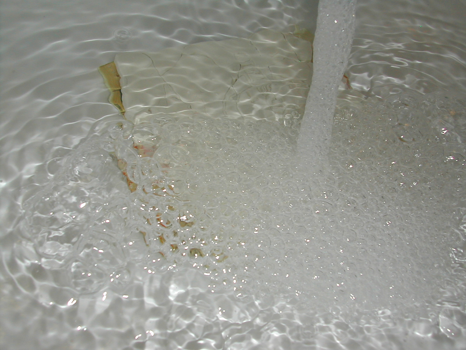 DSCN3154.JPG