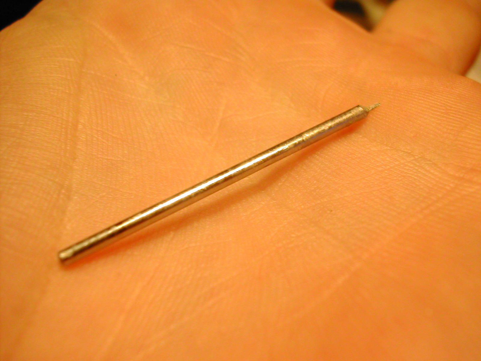 DSCN3205.JPG