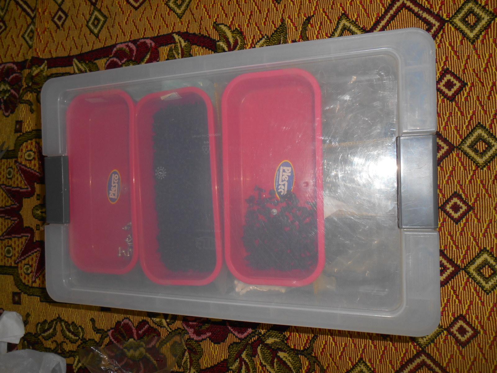 DSCN3810.JPG