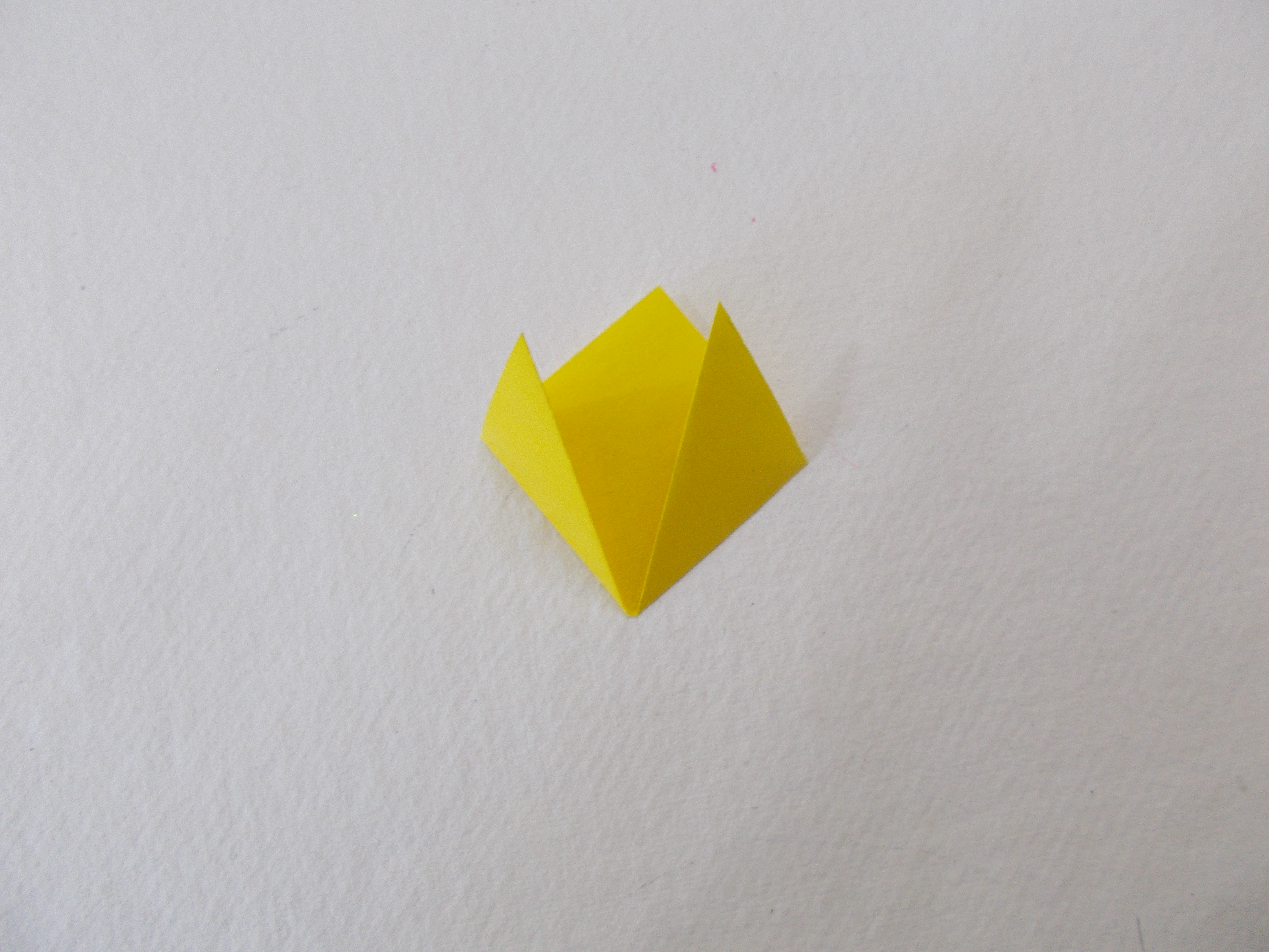 DSCN7103.JPG