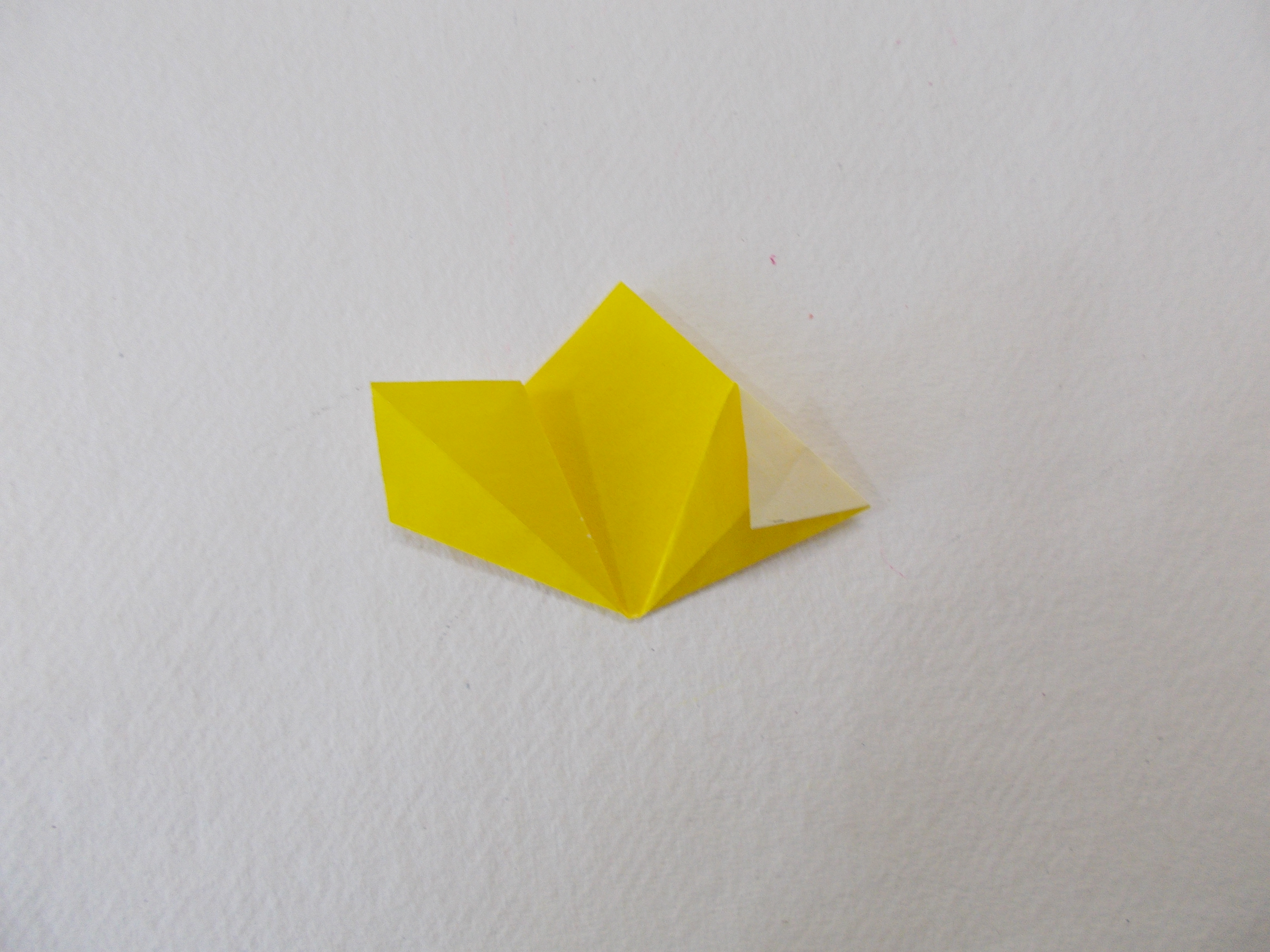 DSCN7110.JPG