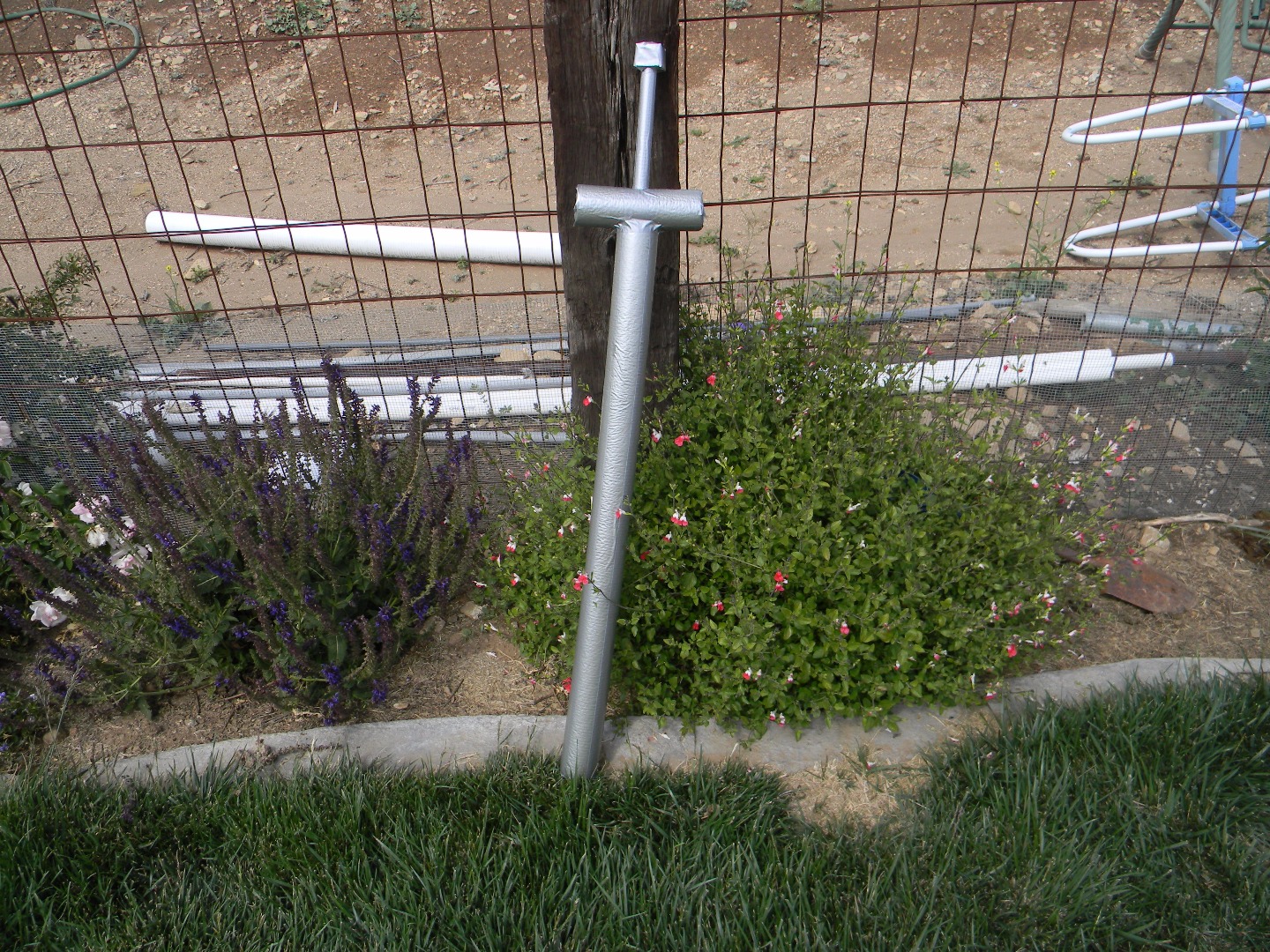 DSCN8884.JPG