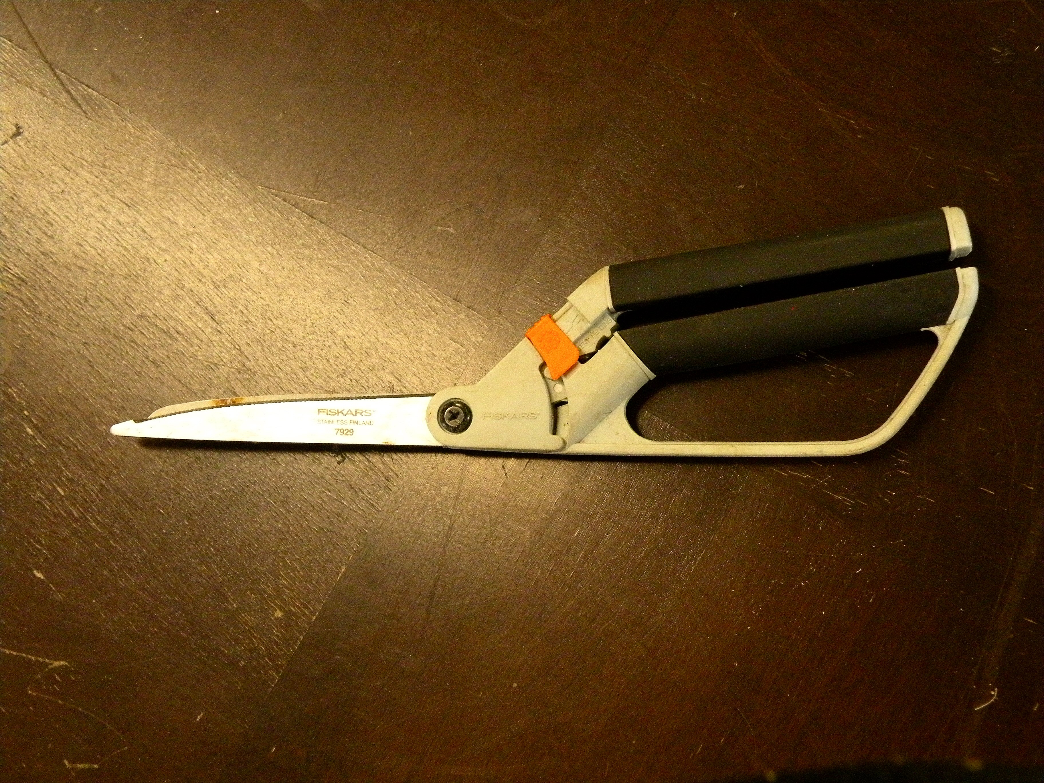 DSCN9888.jpg