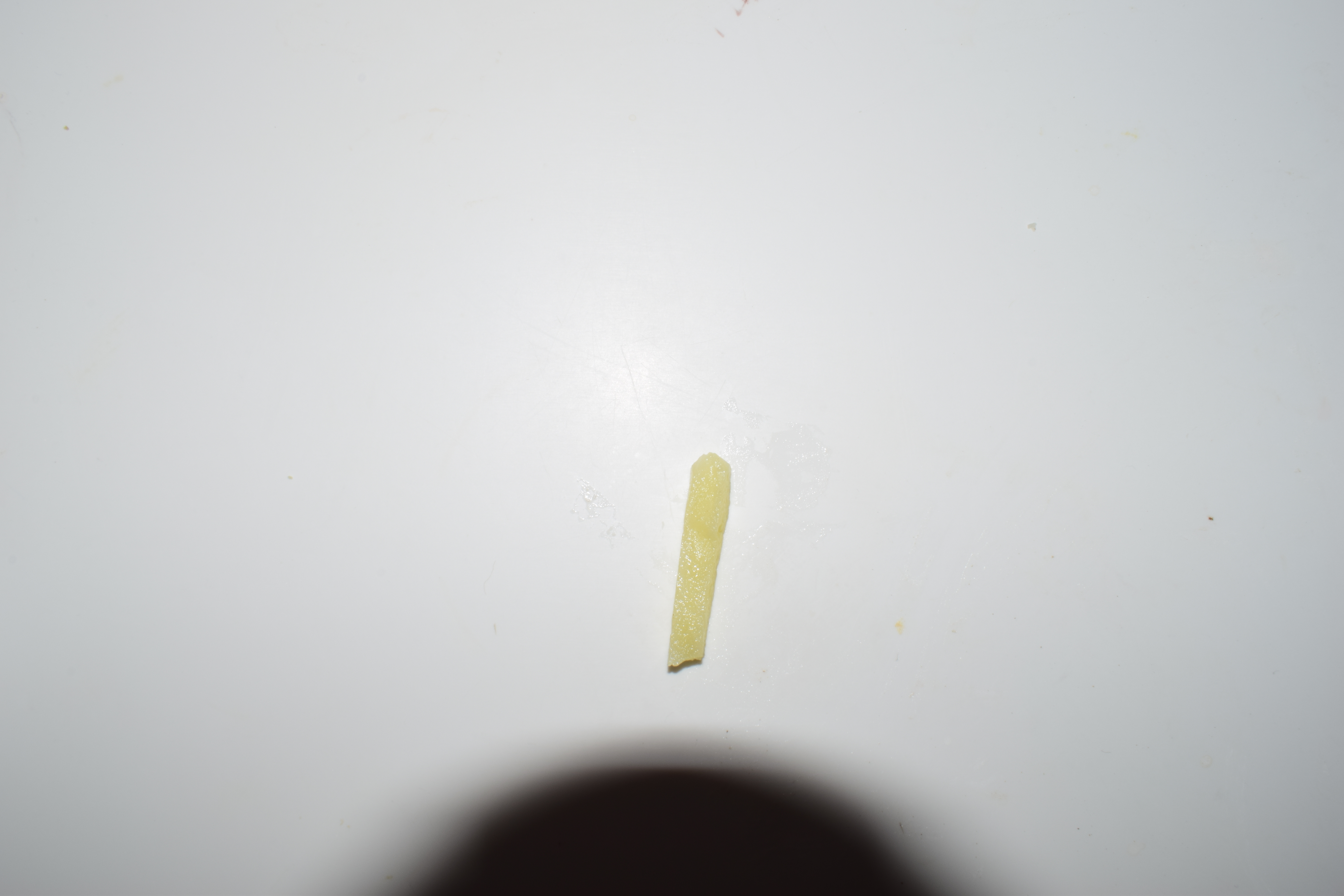DSC_0009.JPG