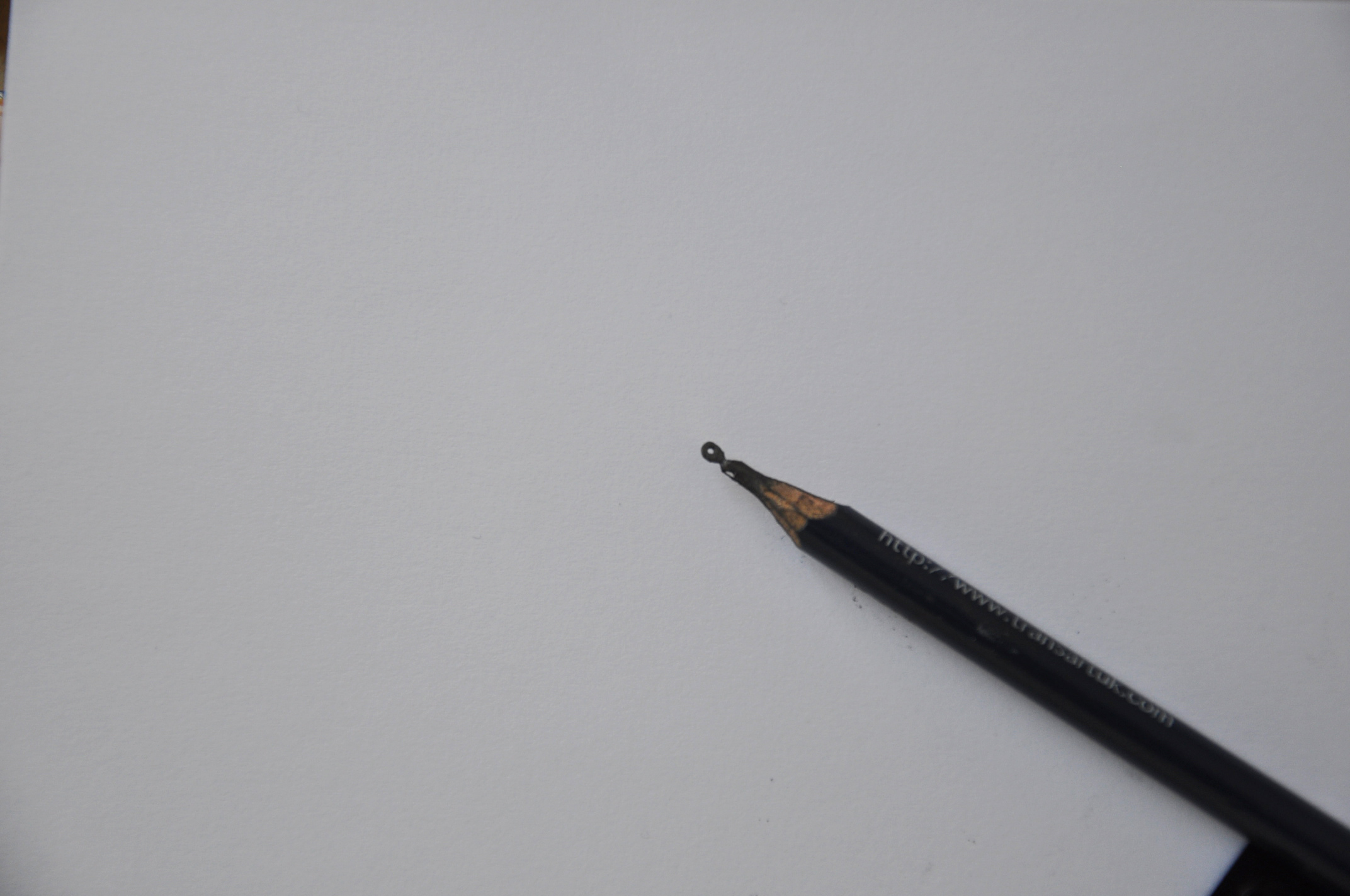 DSC_0102.JPG