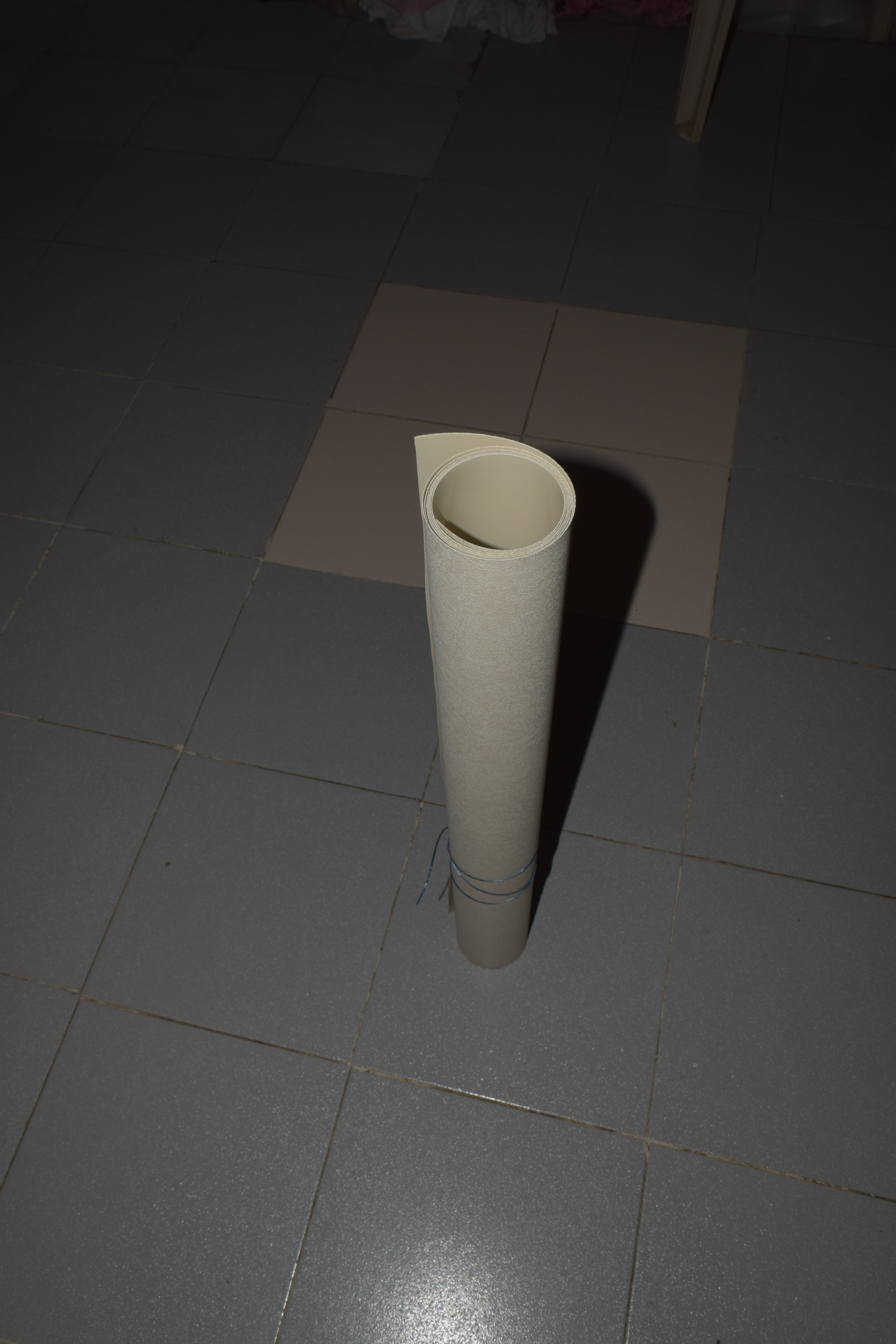 DSC_0304.JPG