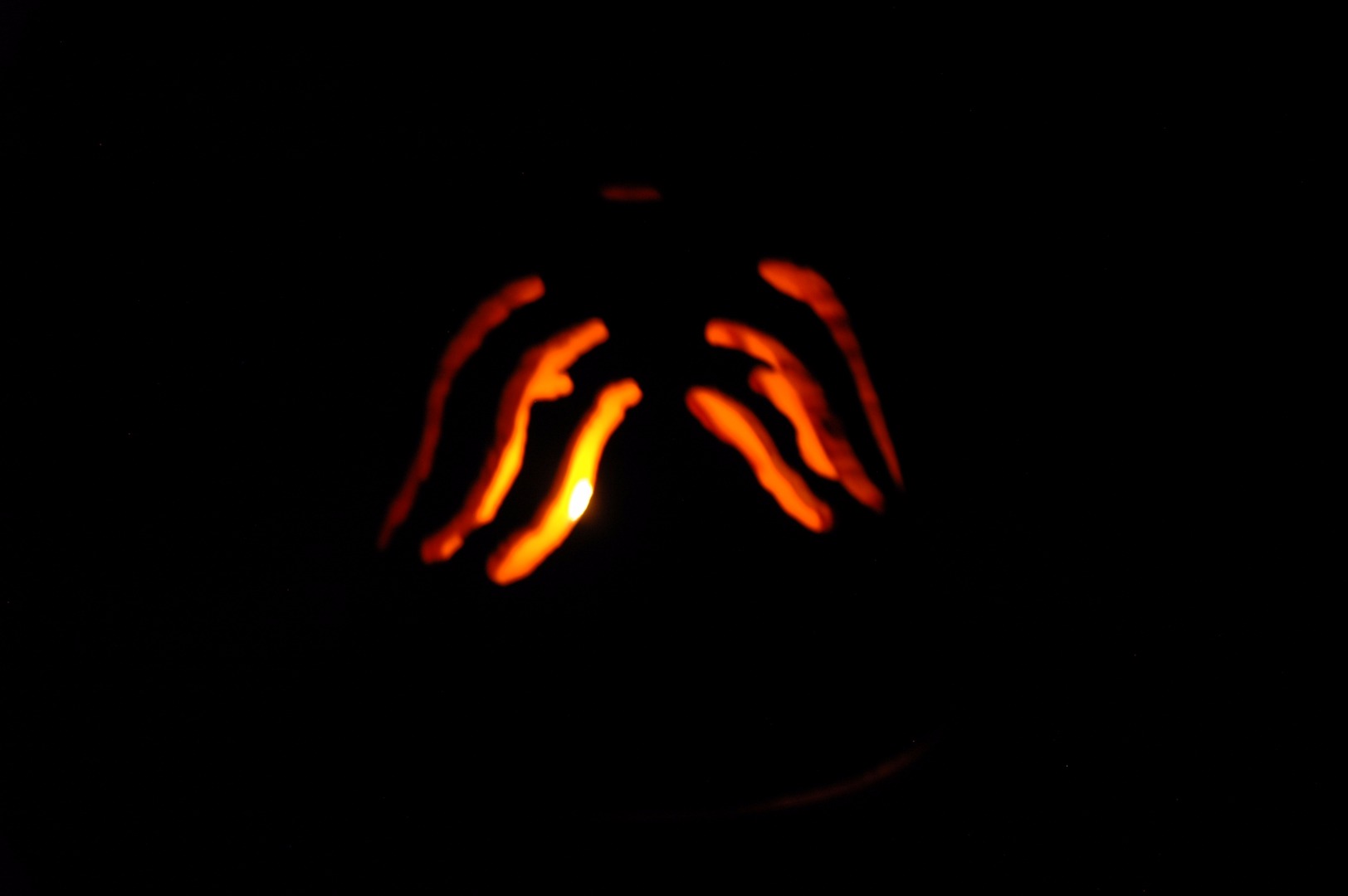 DSC_0347.JPG