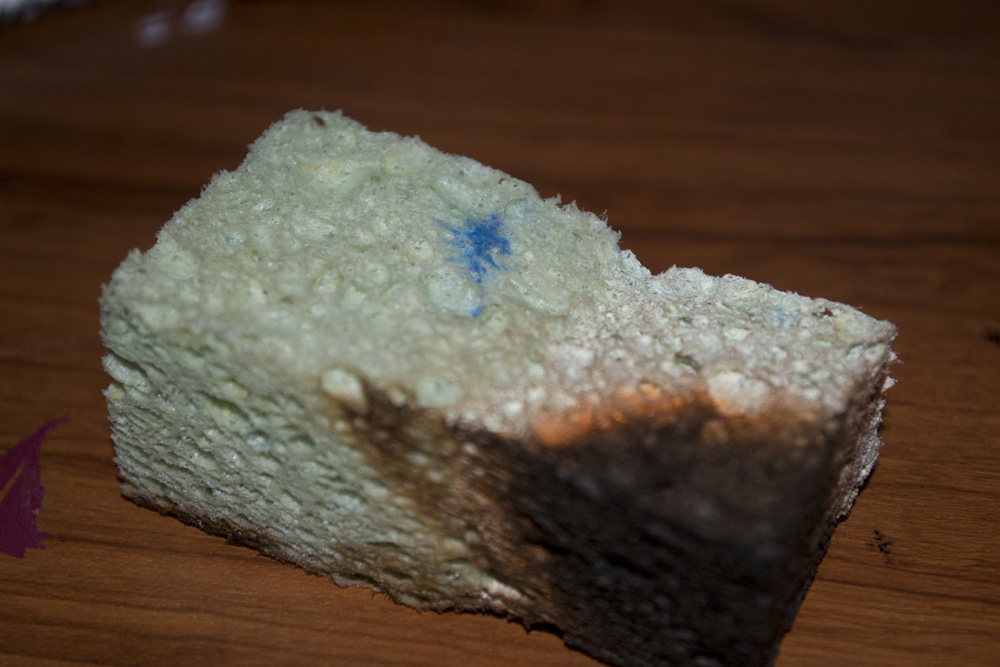 DSC_0472.jpg