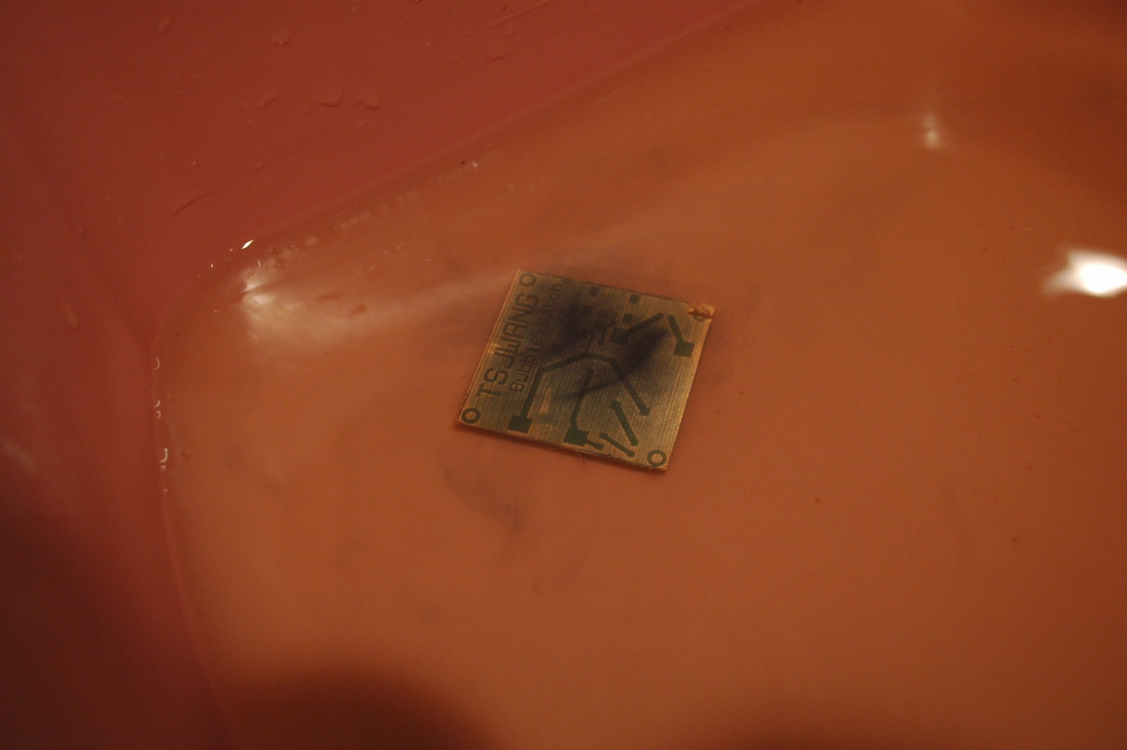 DSC_6453.JPG