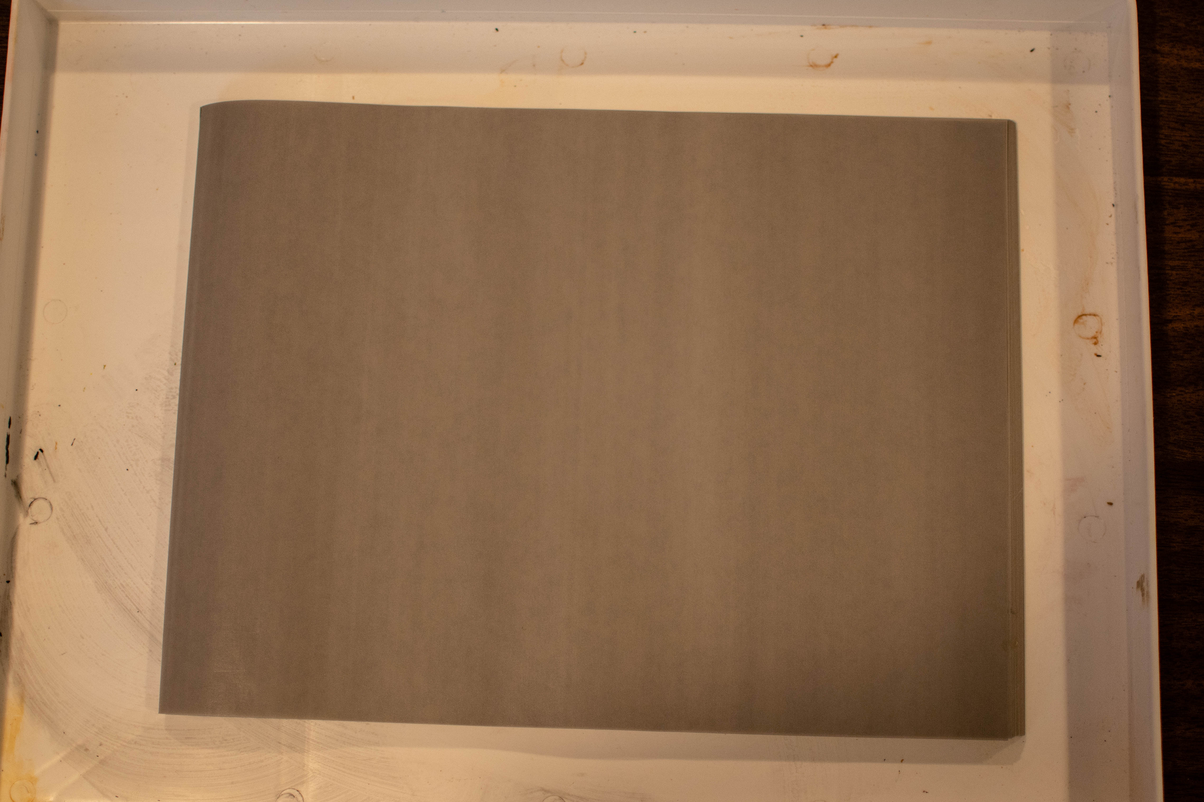 DSC_8586.jpg