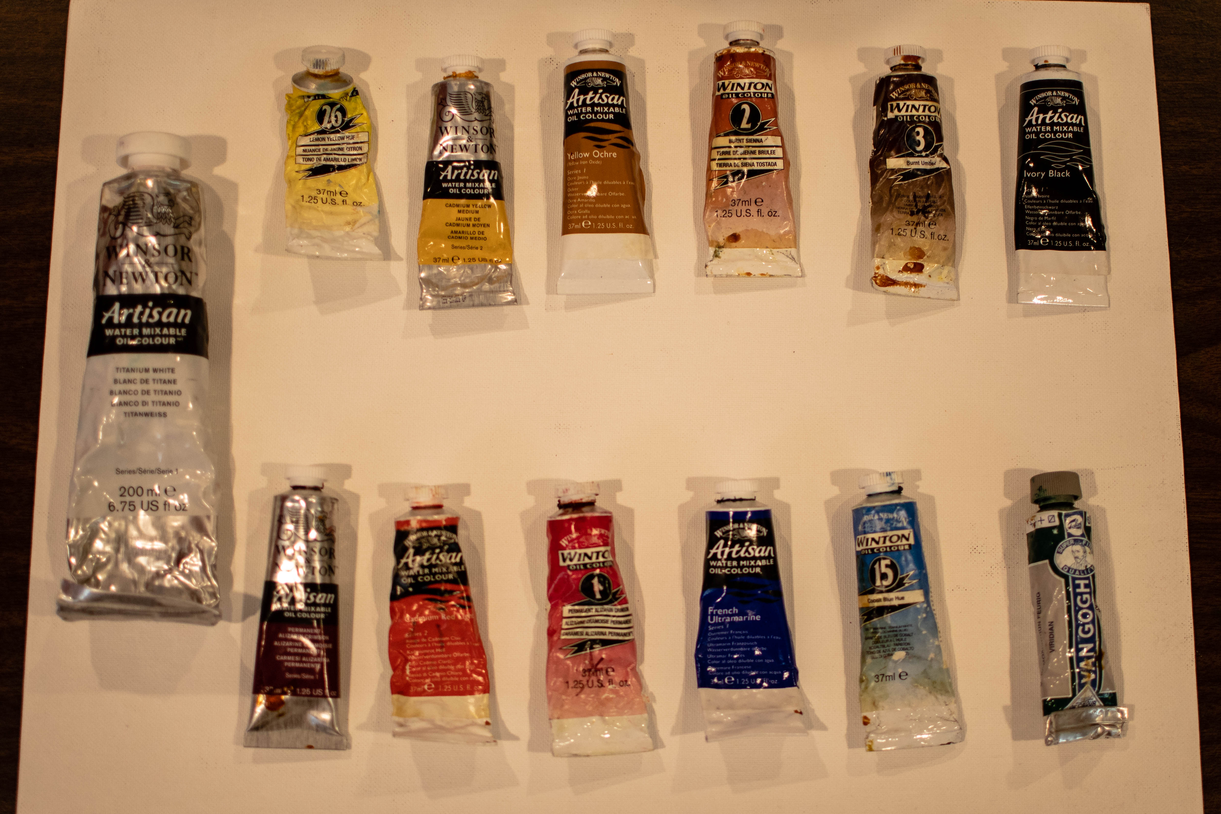 DSC_8593.jpg