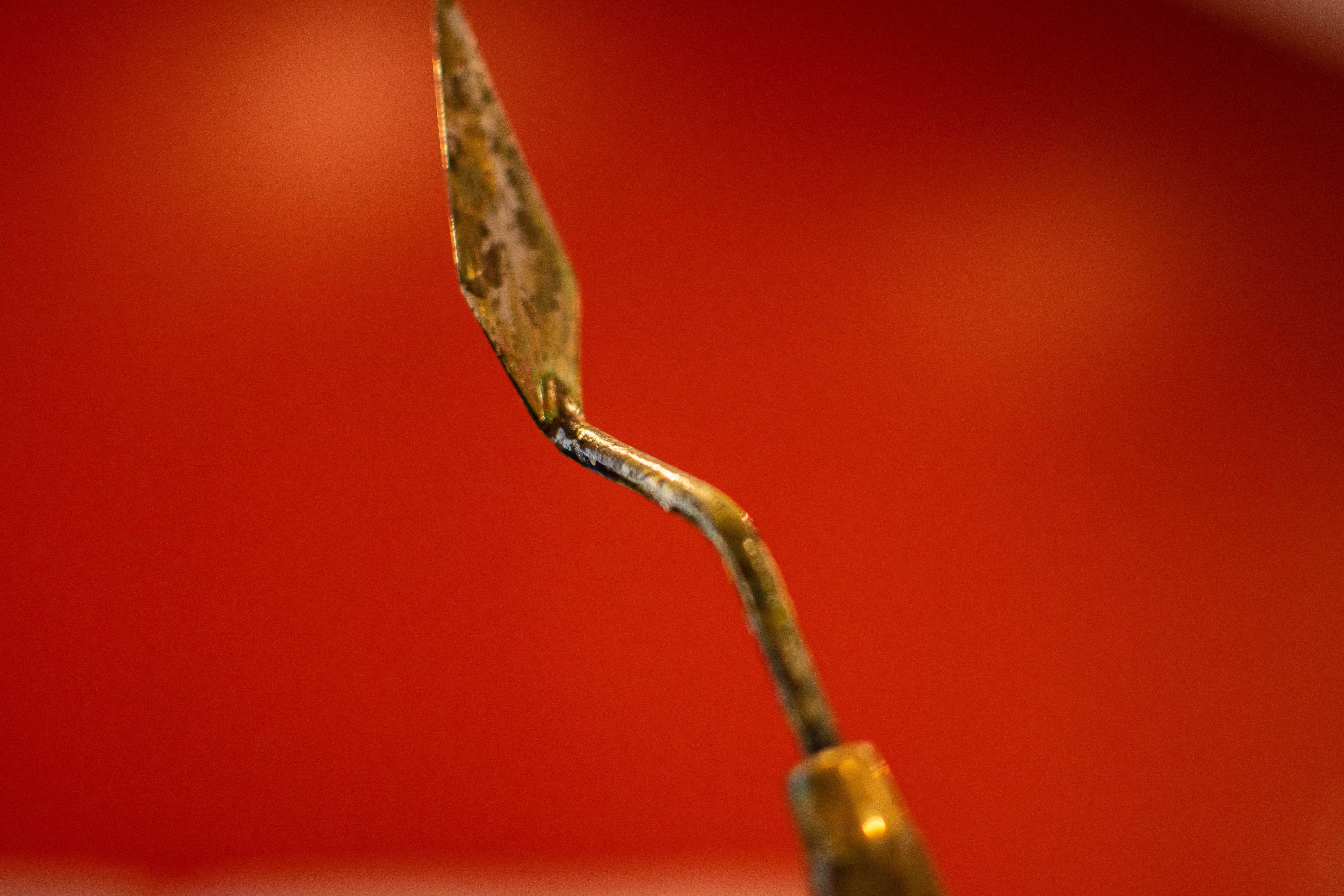DSC_8604.jpg