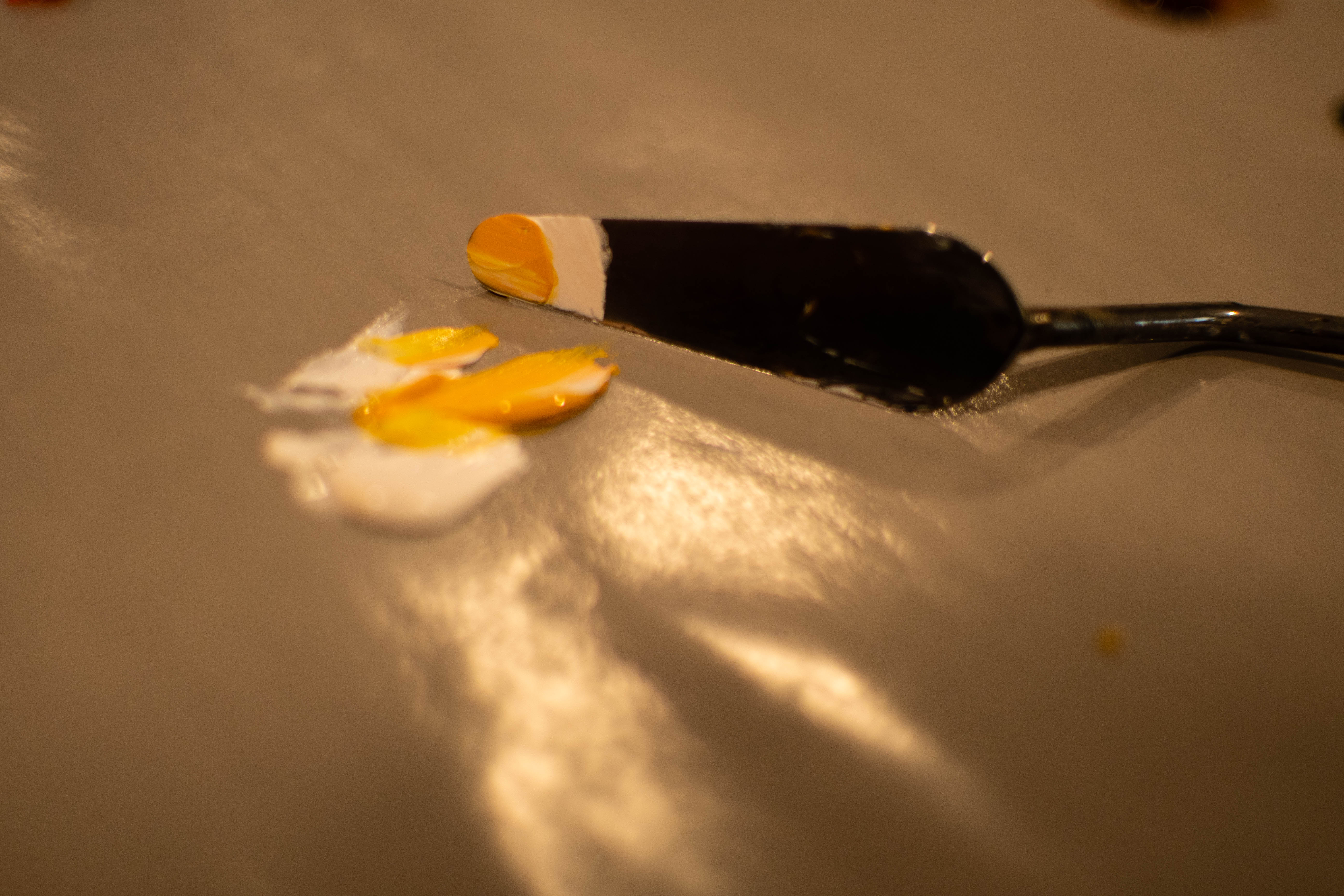 DSC_8614.jpg